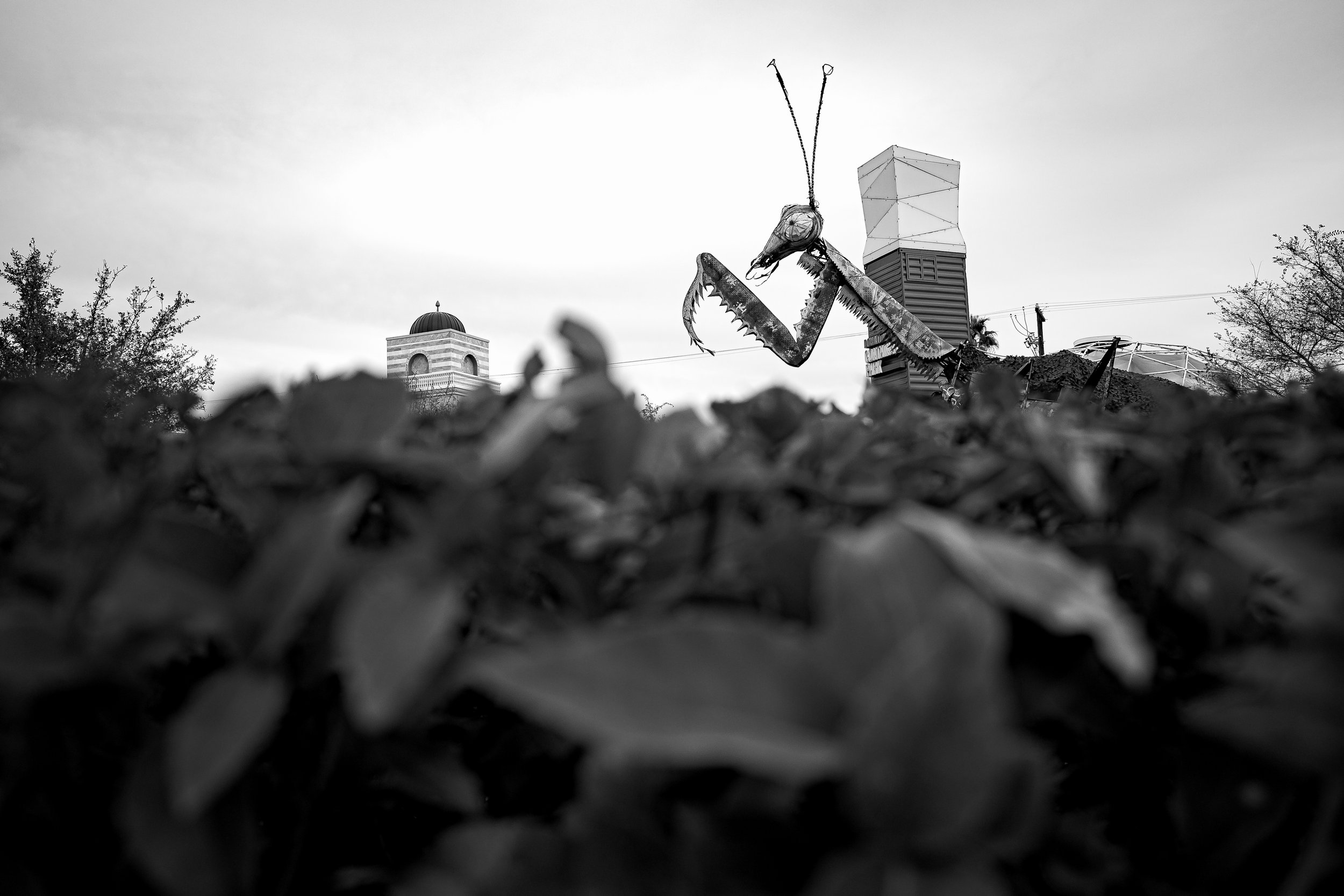 R0000593.jpg
