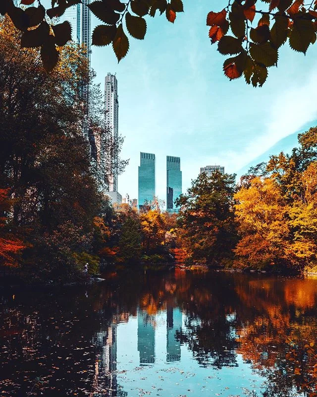 Autumn reflections in Central Park.