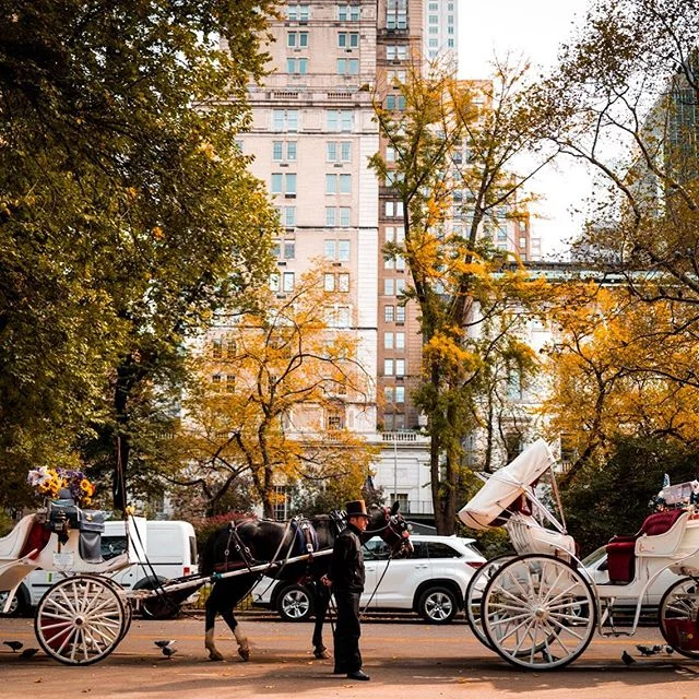 Central Park transportation.