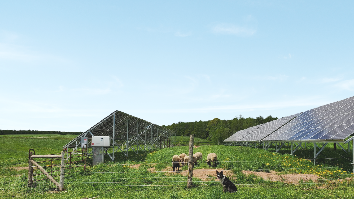 The Smart Energy Company™