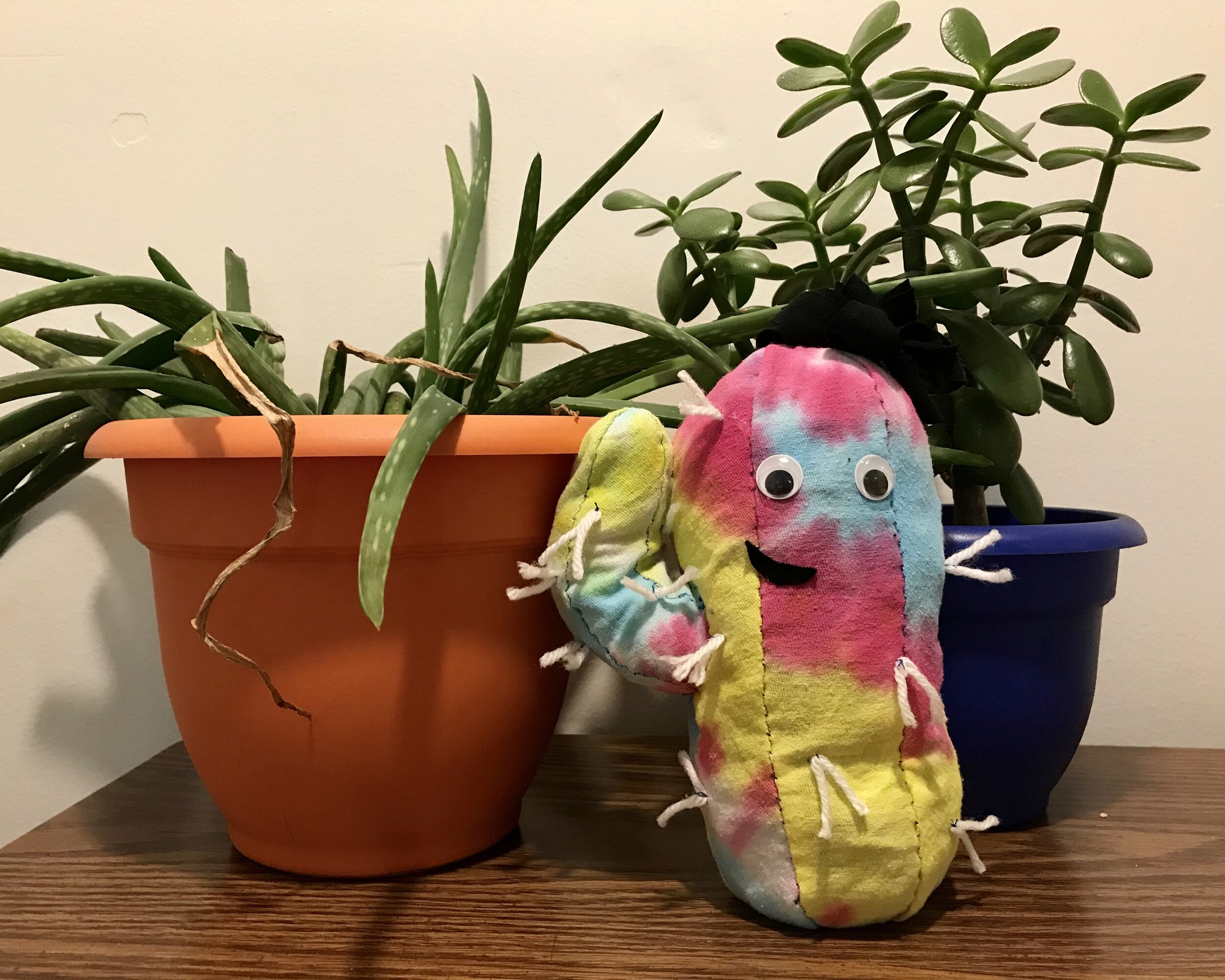 Pokey by Jessica Jones
