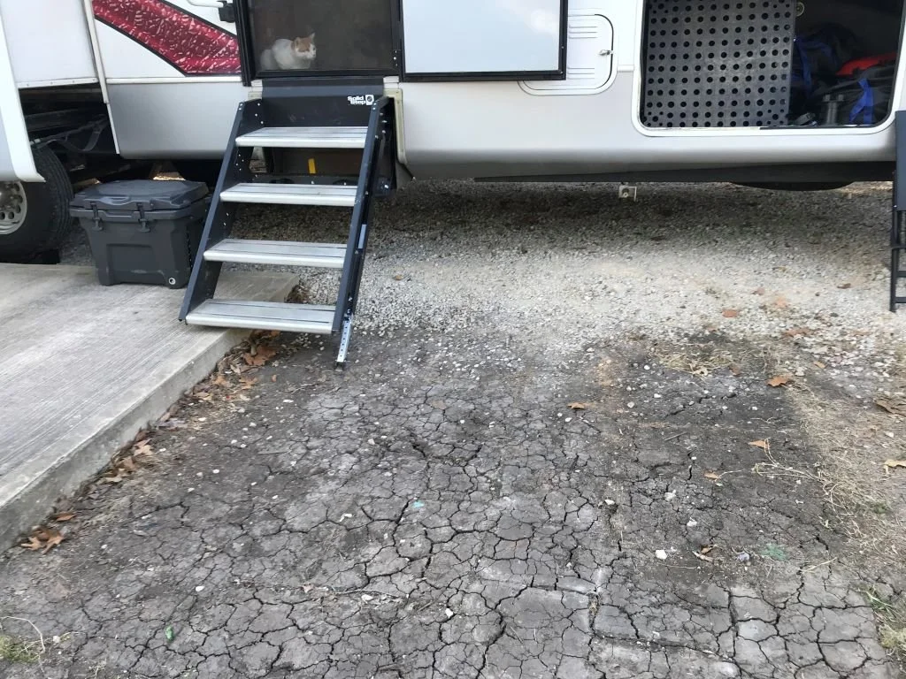 Carpet Mess 2.jpg