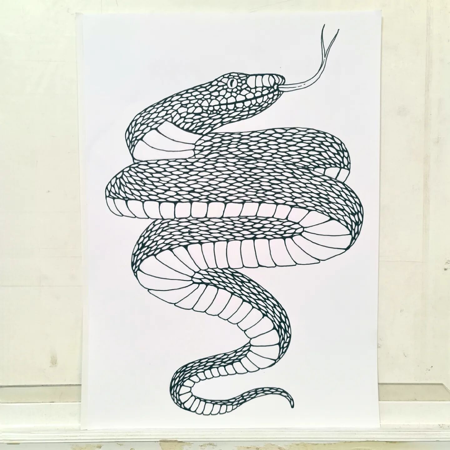 I've drawn this snake out recently based on an Adder. 
It is yet to be shaded, but the shading may also depend on what kind of snake it will become. I can't wait to tattoo this!
.
If you want this snake as a tattoo then please DM @enso.tattoo.enso an
