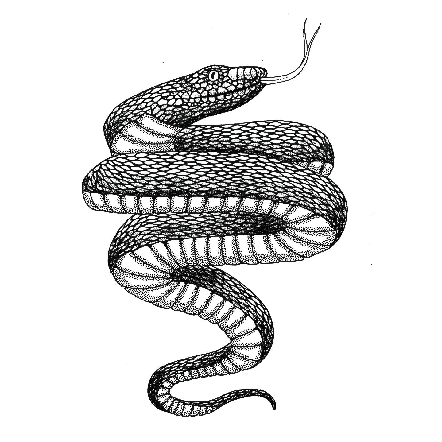 This snake it available for tattooing.
DM me if you want it. I would absolutely love to tattoo this!
.
.
.
#tattoo #tattoolife #tattooing #tattooart #tattoosheffield #sheffieldtattoo #sheffieldtattooist #blackink #snake #snakeflash #snaketattoo #snak