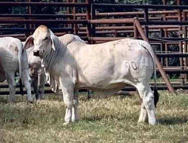 Lot 4-2_0.jpg