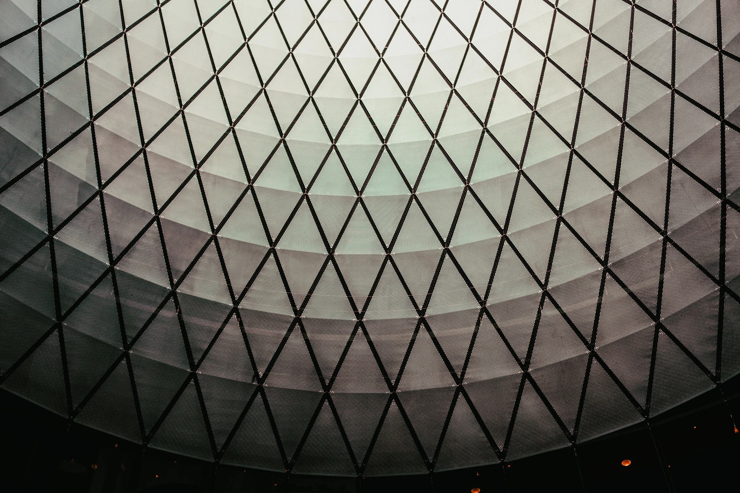 0B3A0300-2.jpg