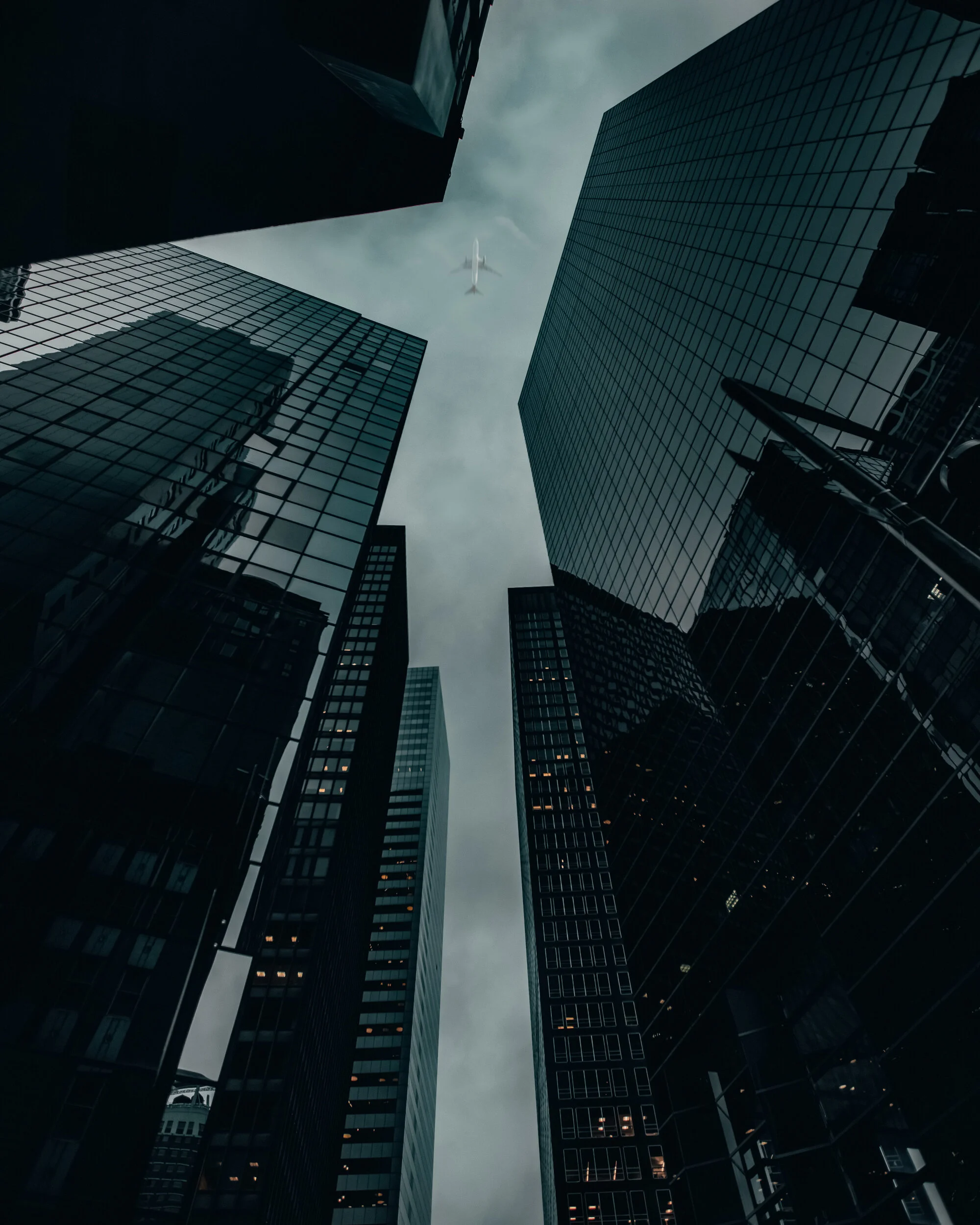 Look Up!.jpg