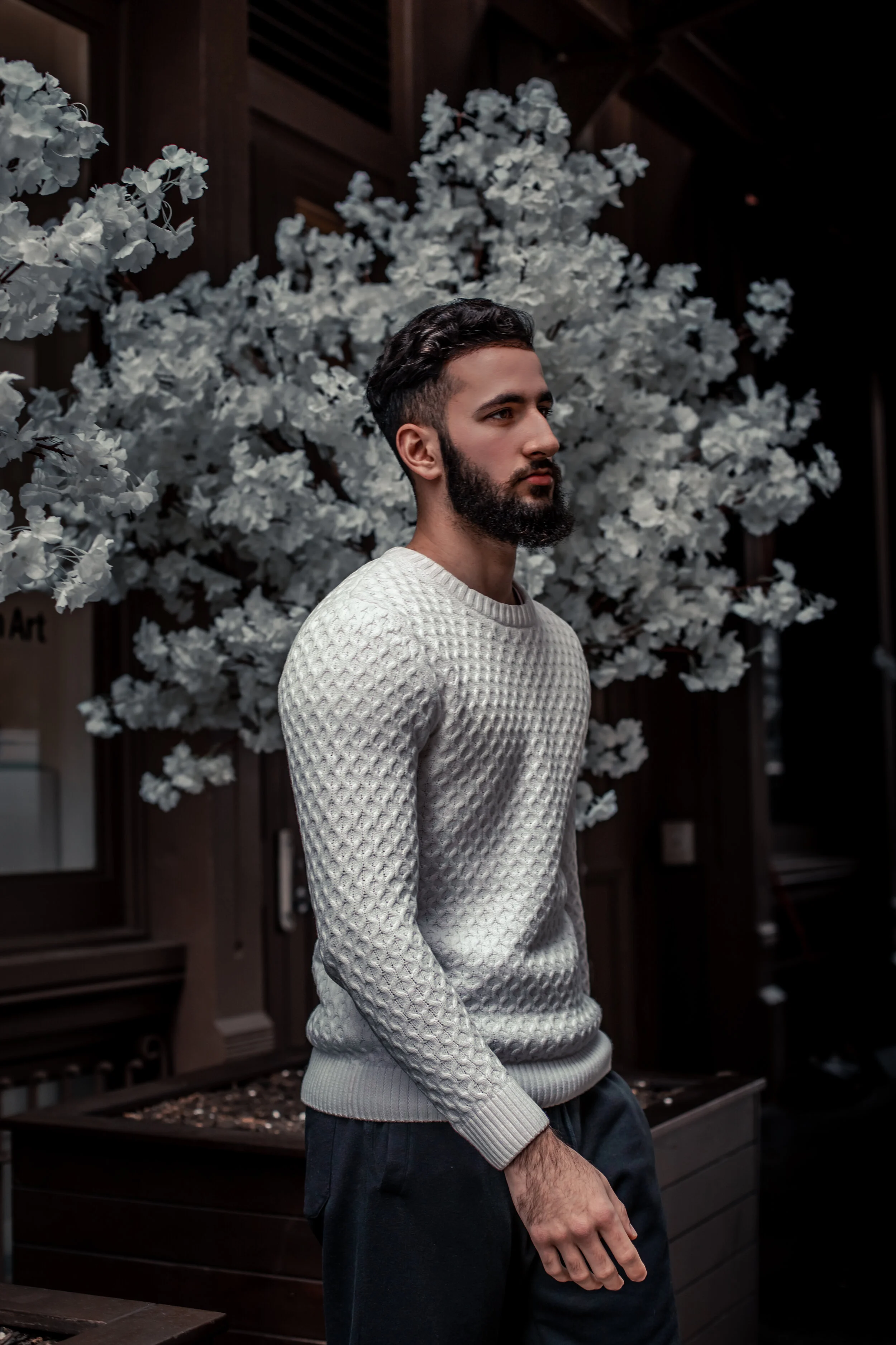 Shawn & the White Flowers.jpg