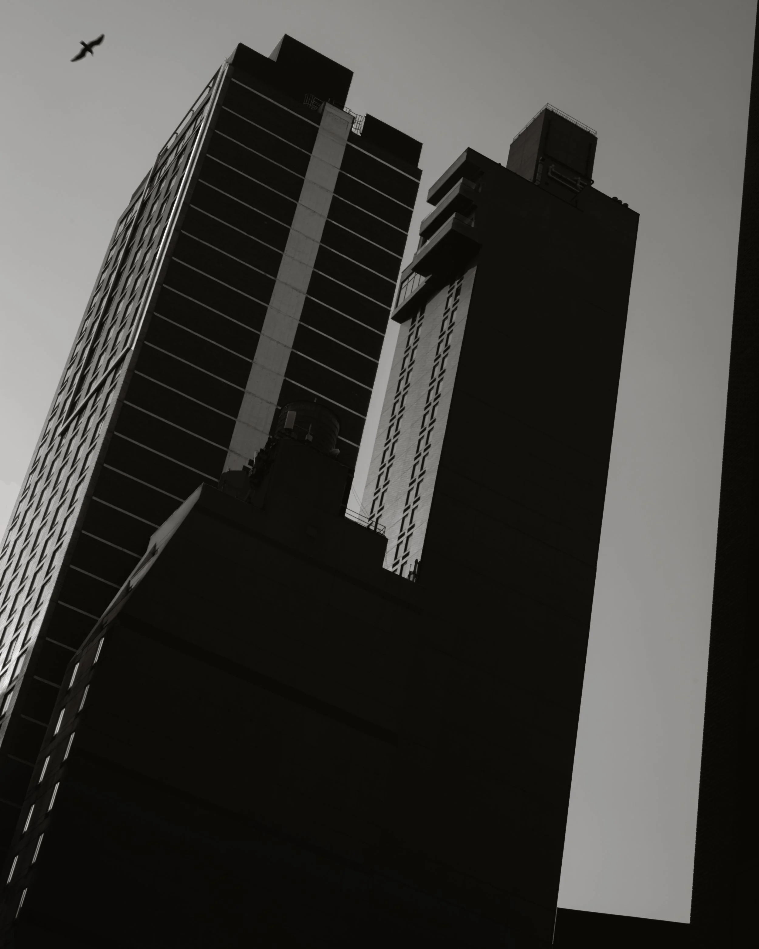 Buidings & a Bird.jpg