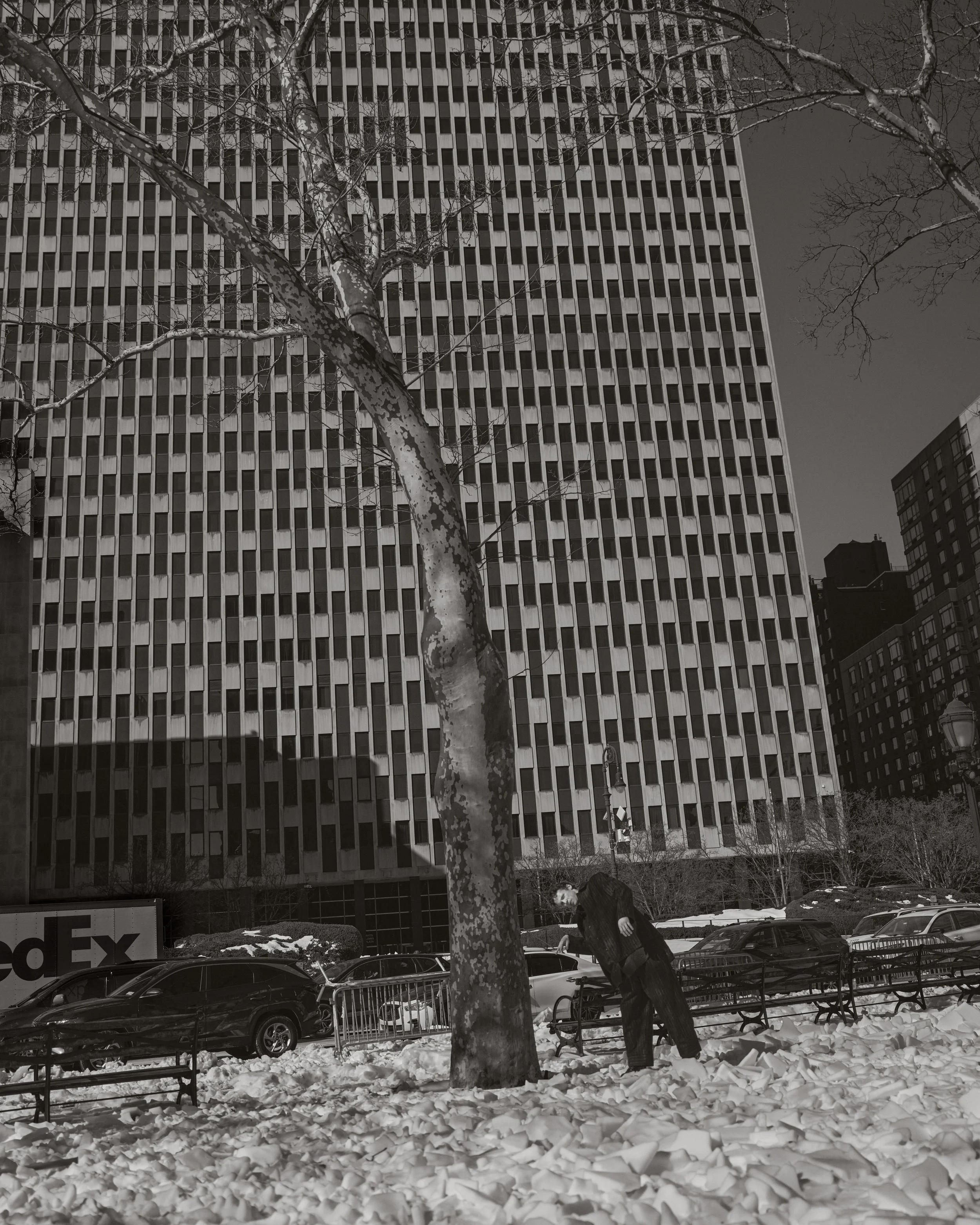 man,tree,building.jpg
