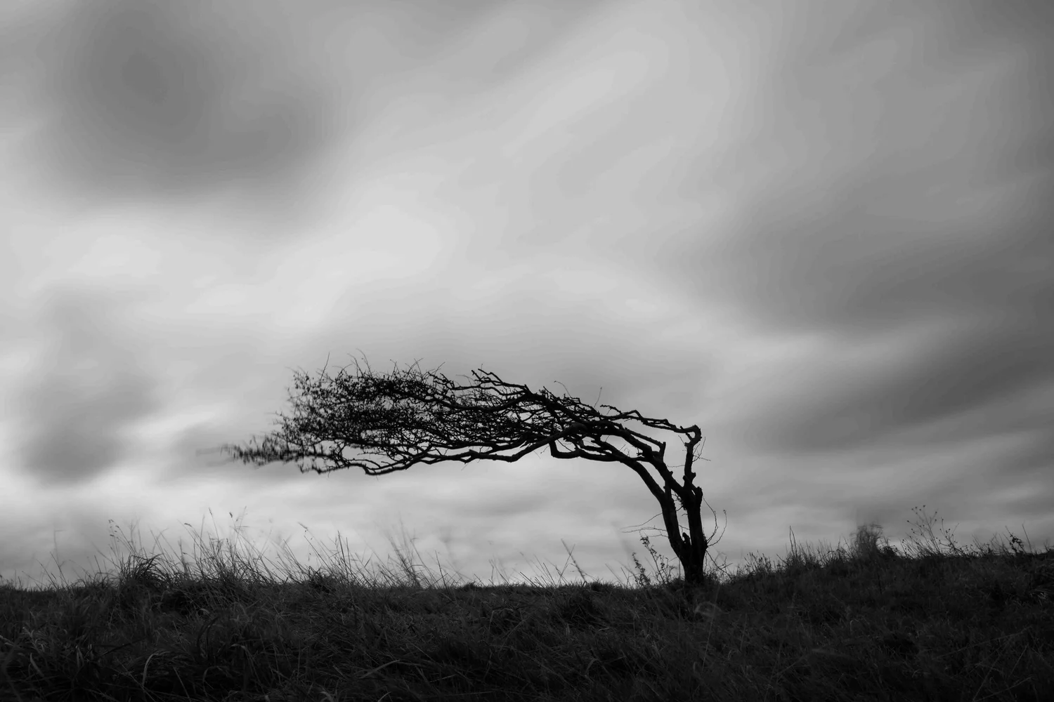 Richard Rostant Richard Rostant Photography
