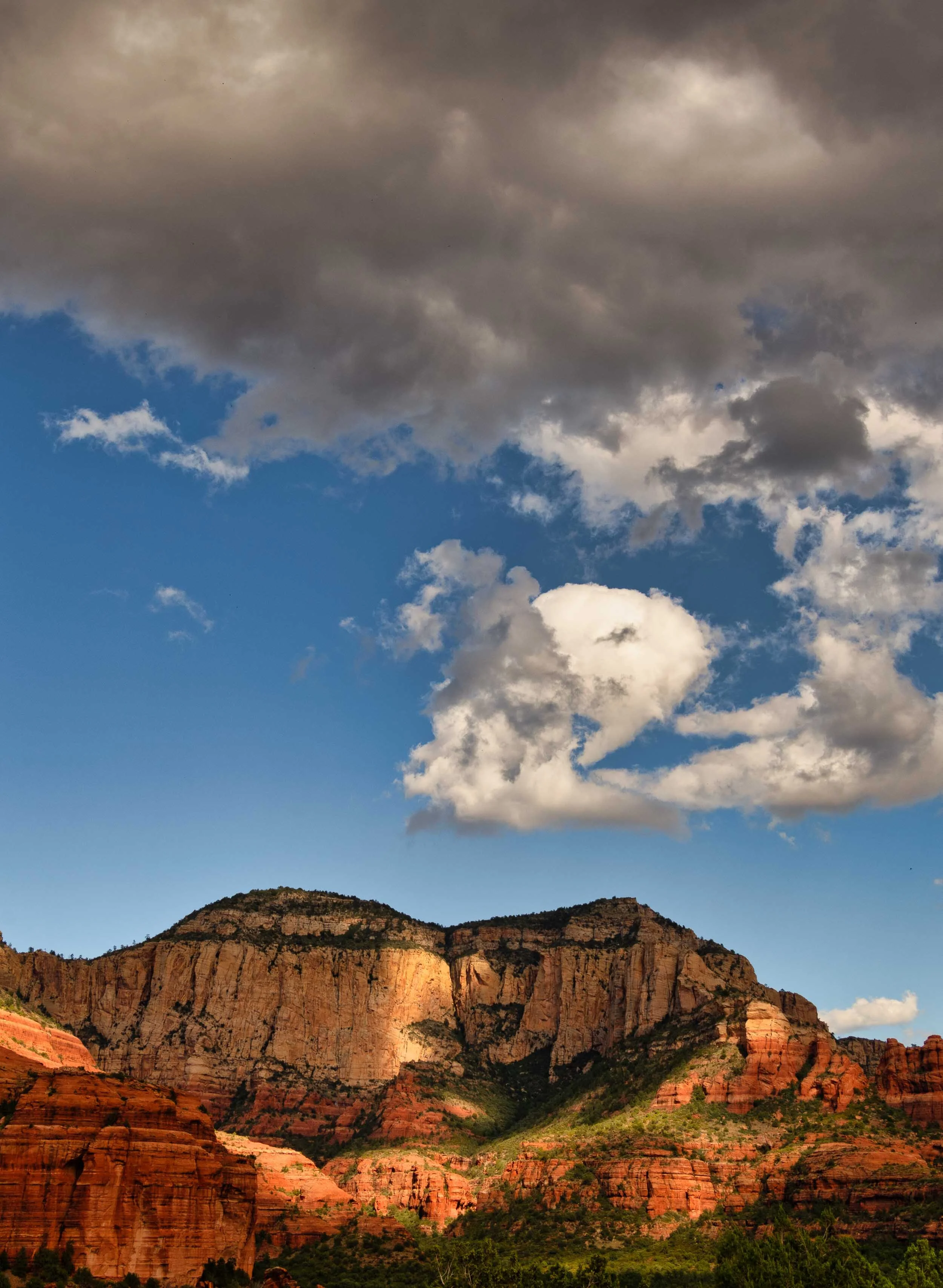 _R856729-Edit-Edit-Edit.jpg