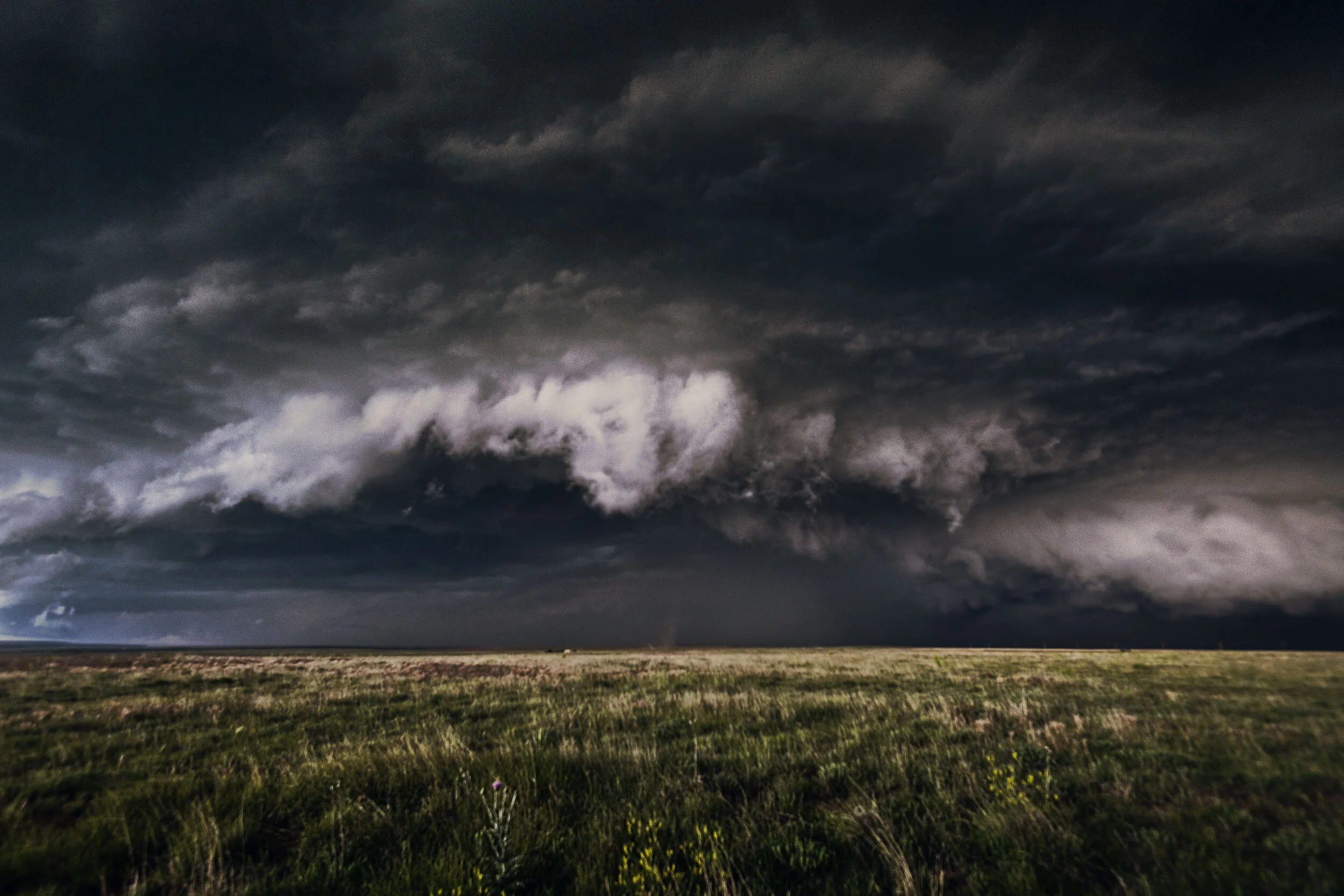 _R850113-Edit.jpg