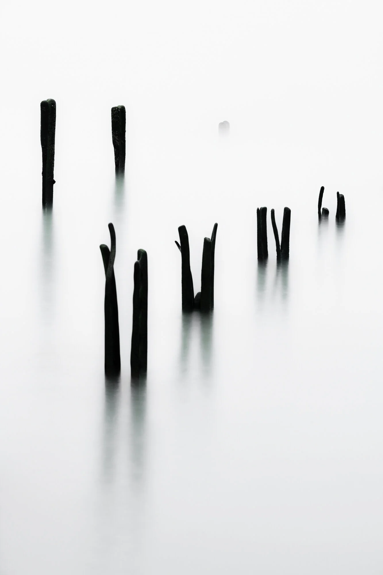 _R857996.jpg
