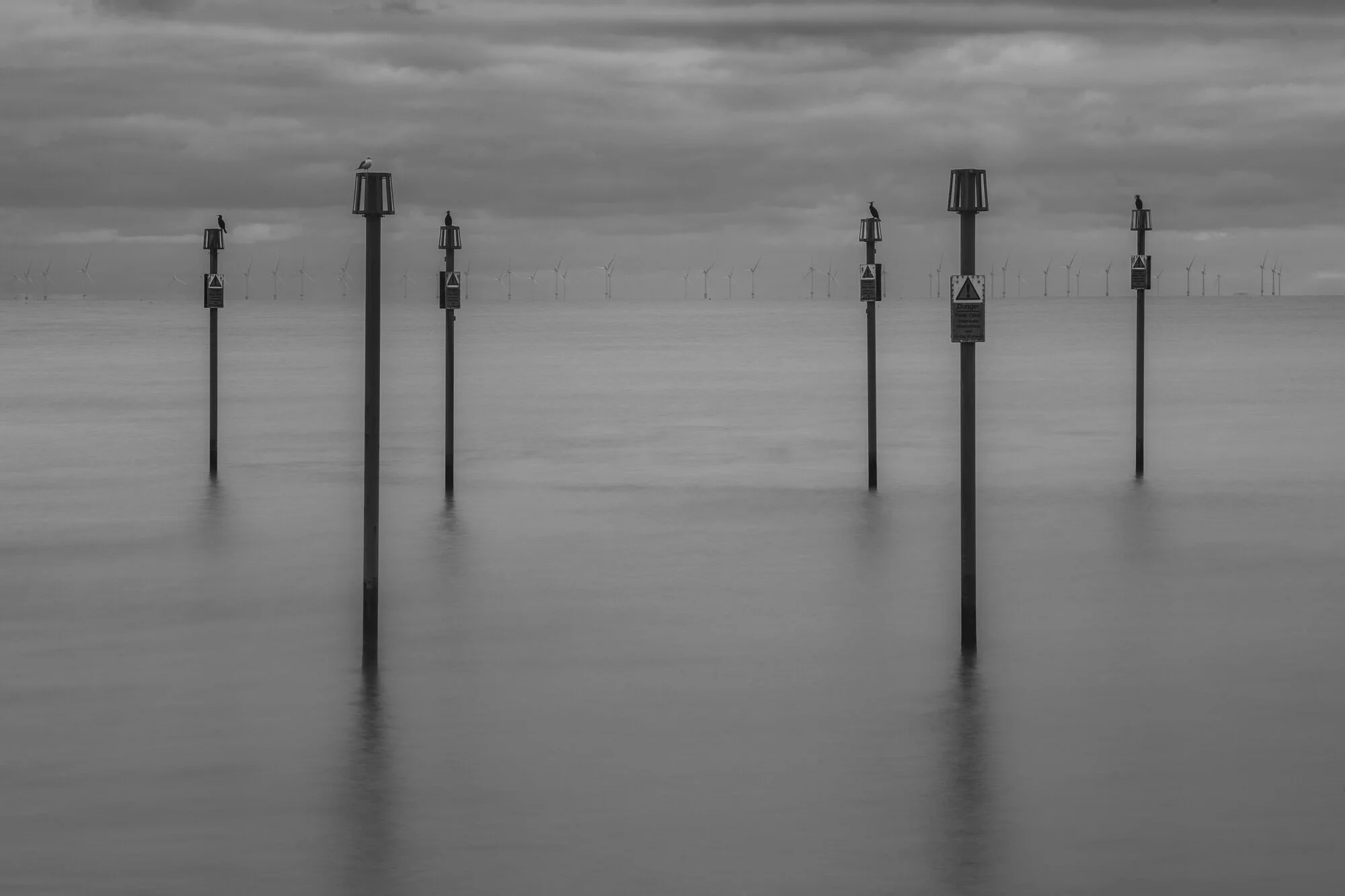 _R858161.jpg
