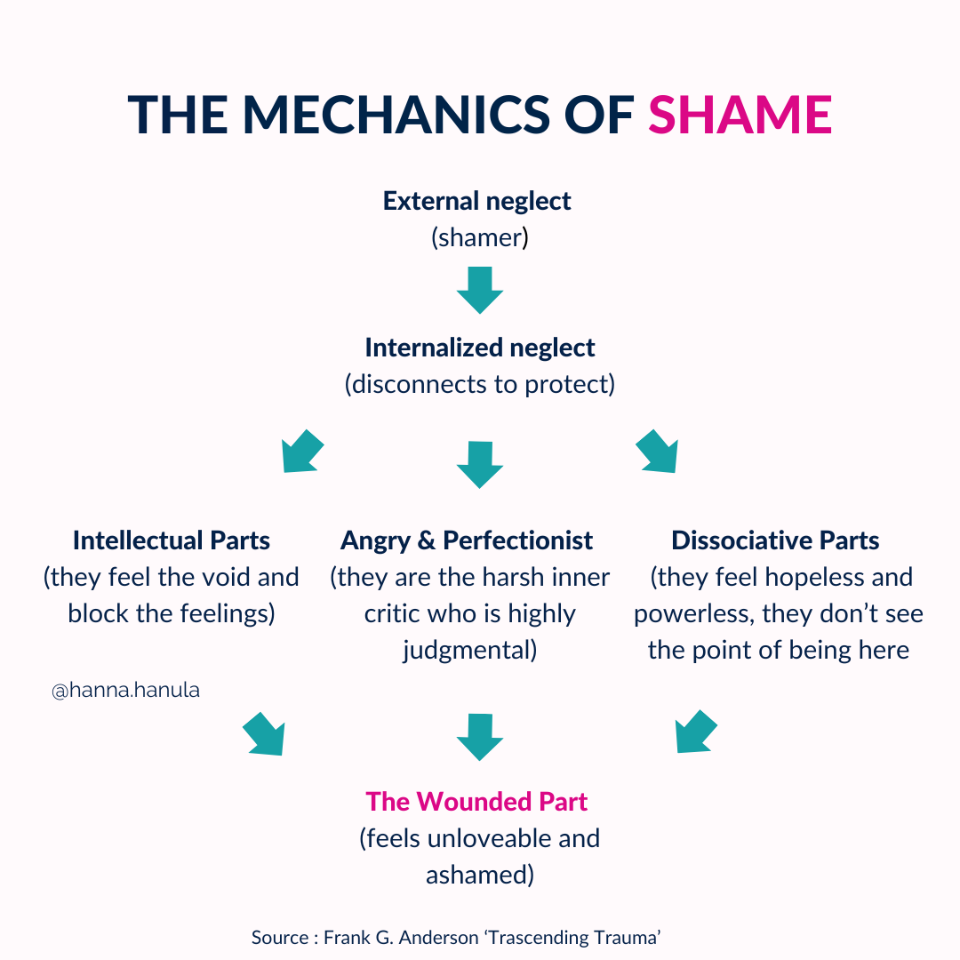 Shameful Examples How Shame Shapes Your Identity and Impacts Your Gut – Hanna Hanula
