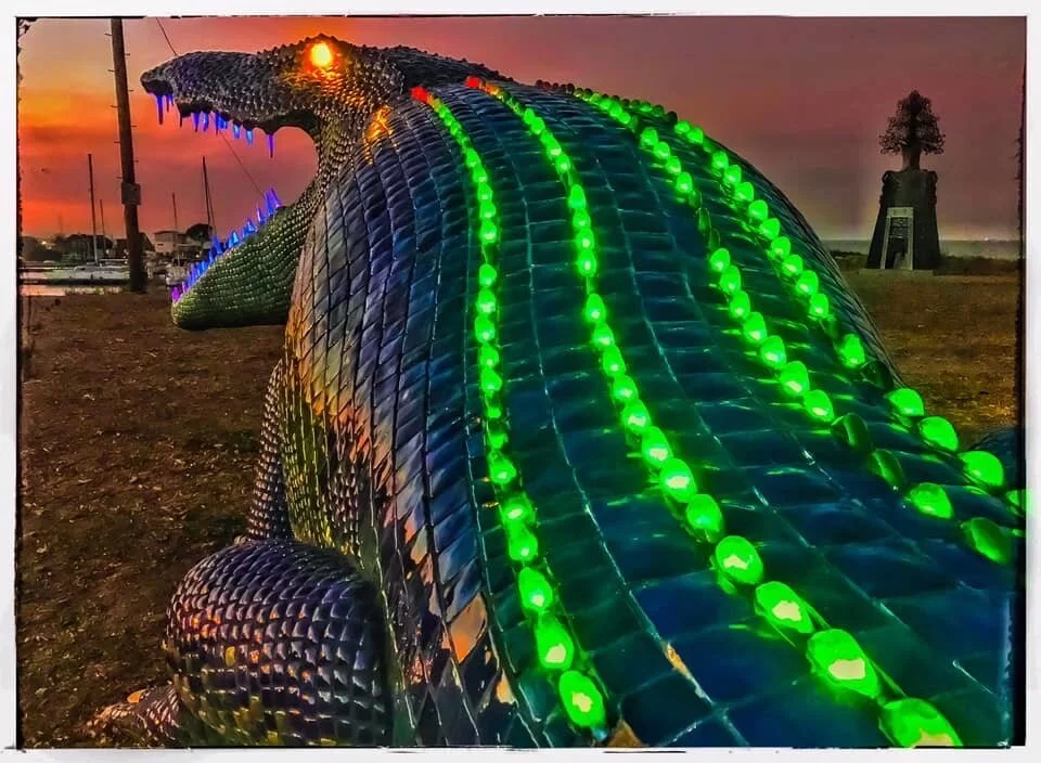 Niloticus by Peter Hazel