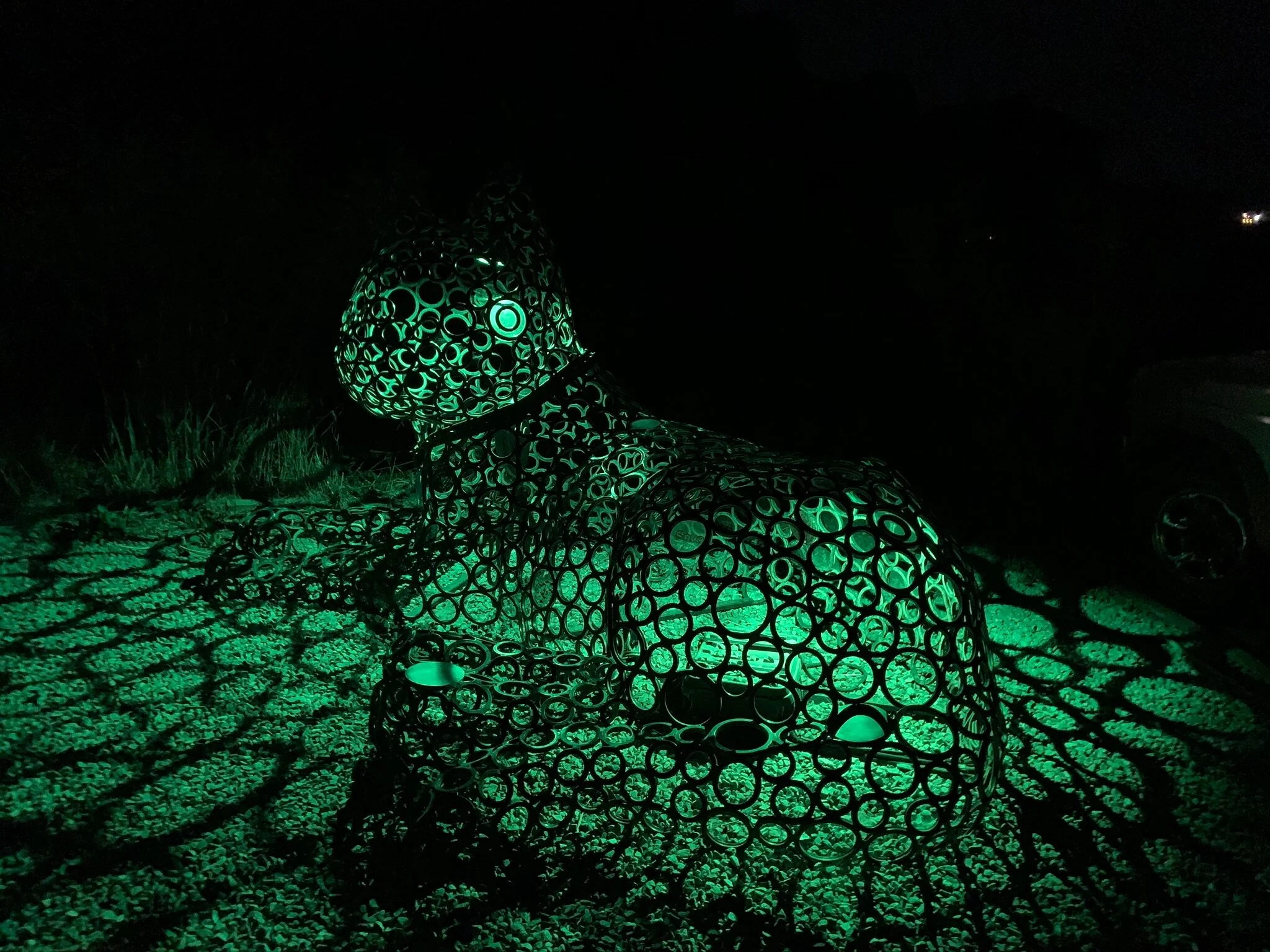 Purr Pods by Paige Tashner