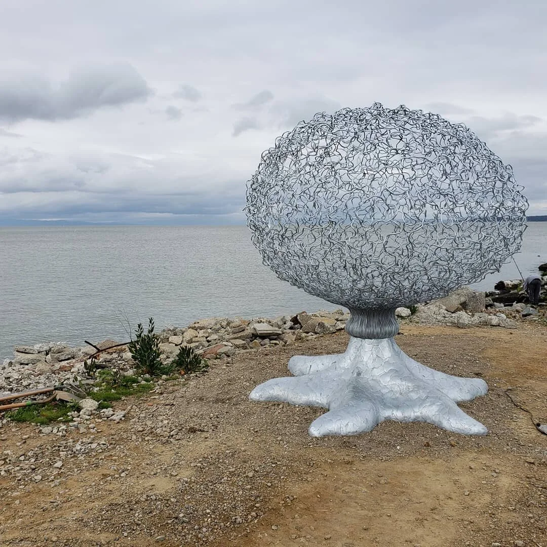 Asterpod by Michael Christian