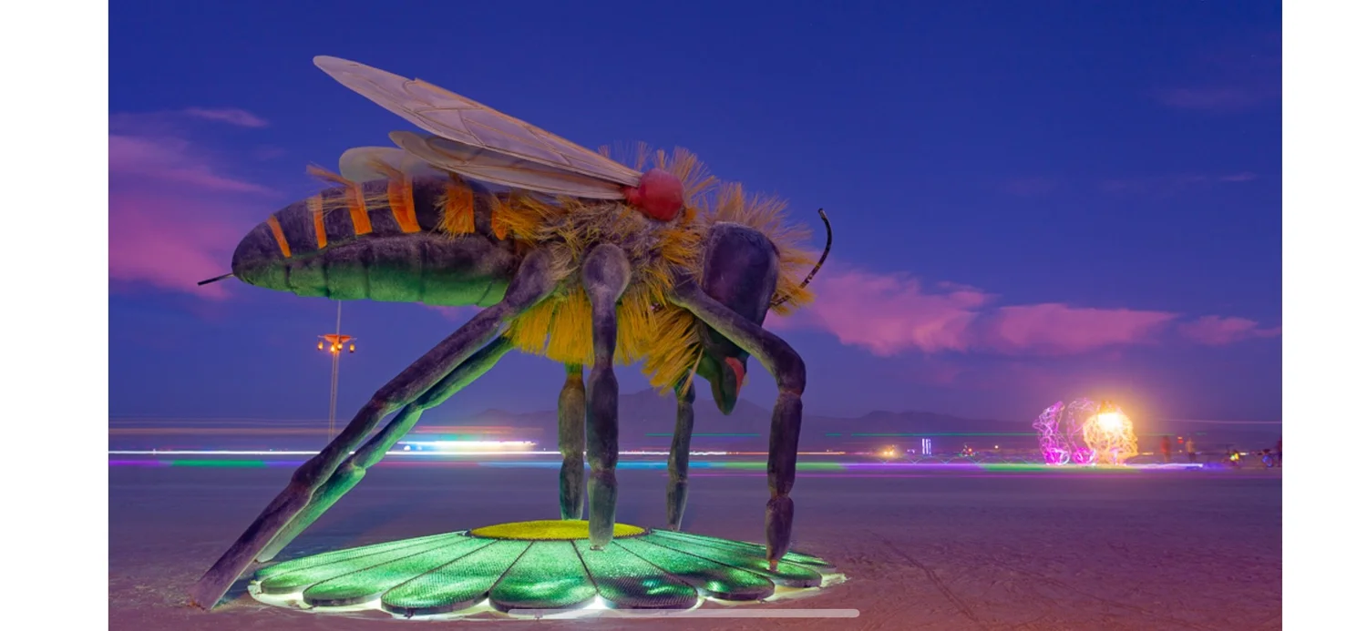 Bee Or Not To Bee — Point San Pablo Harbor