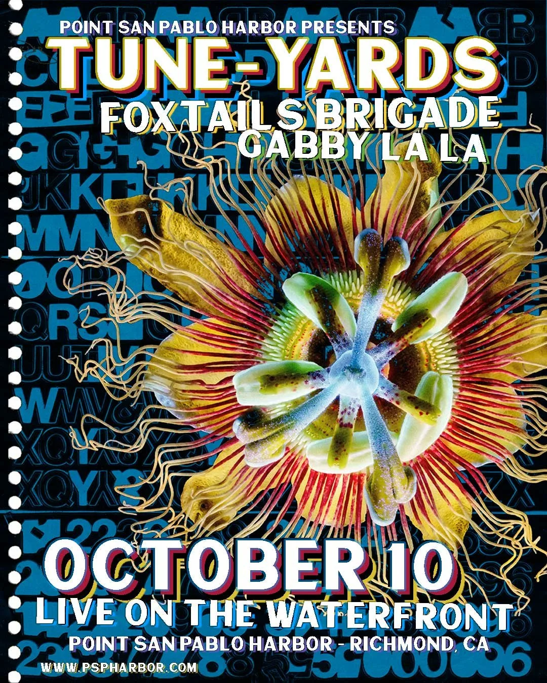 tune-yards-poster-Proj-INSTA.jpg