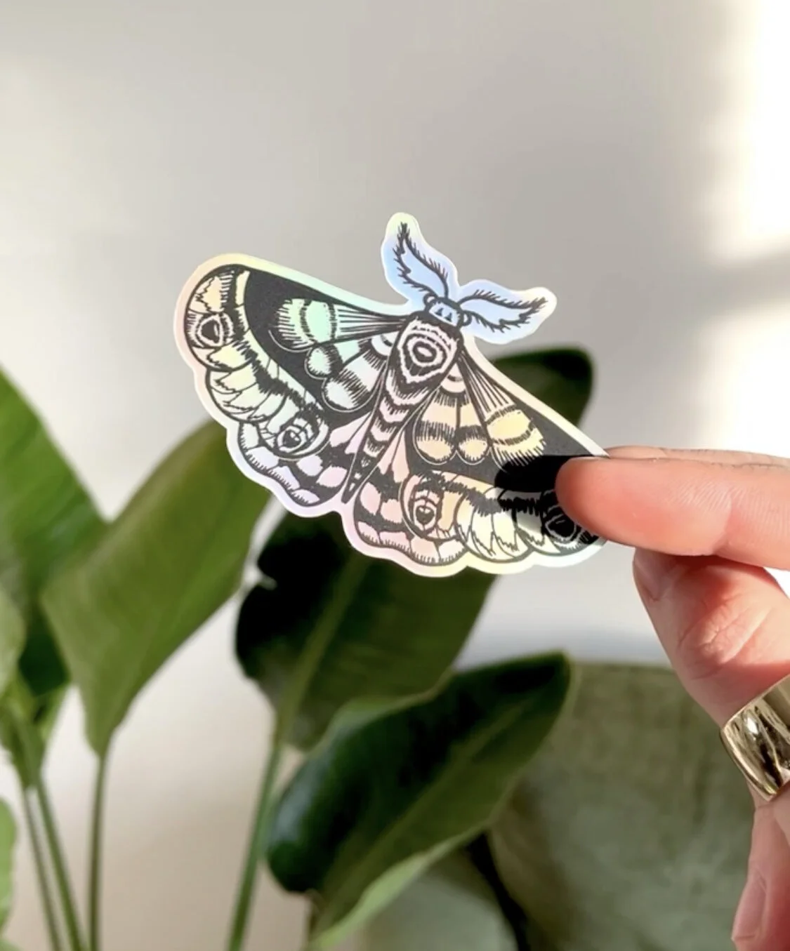 1BBFB80F-C547-47DB-A62C-1408D8C99CDC