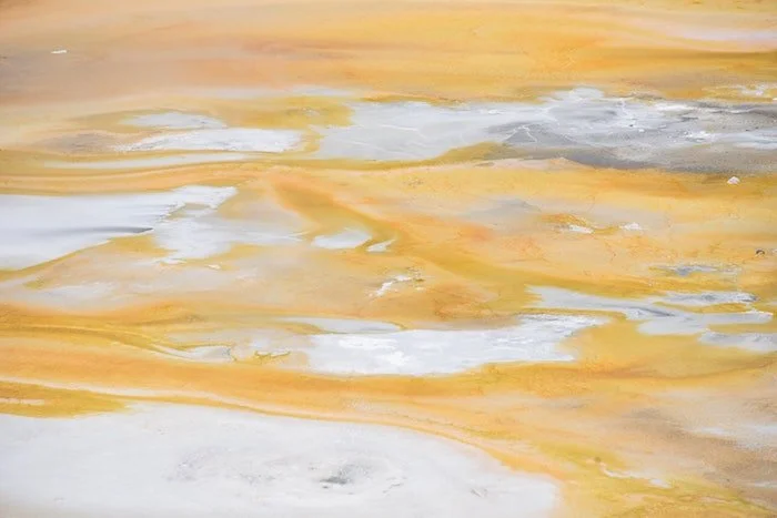 "But Now I'm 25," White Wall Review, August 2022