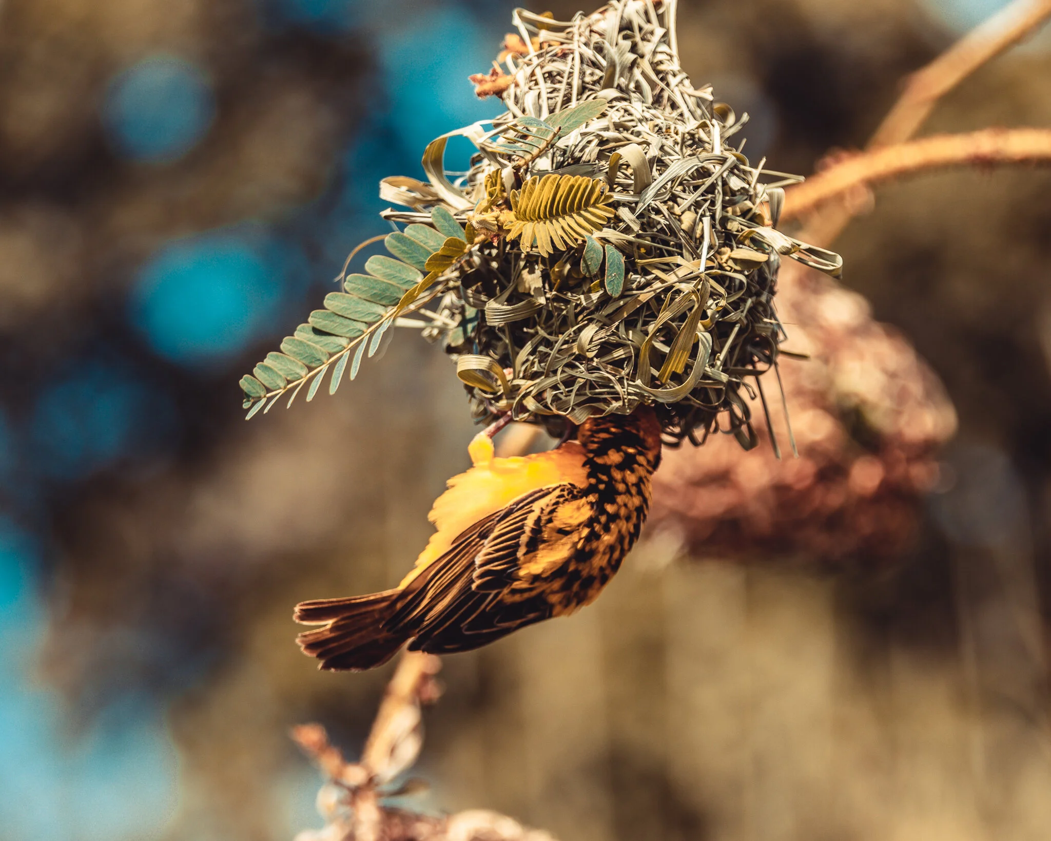 20191217-0L8A0995.jpg