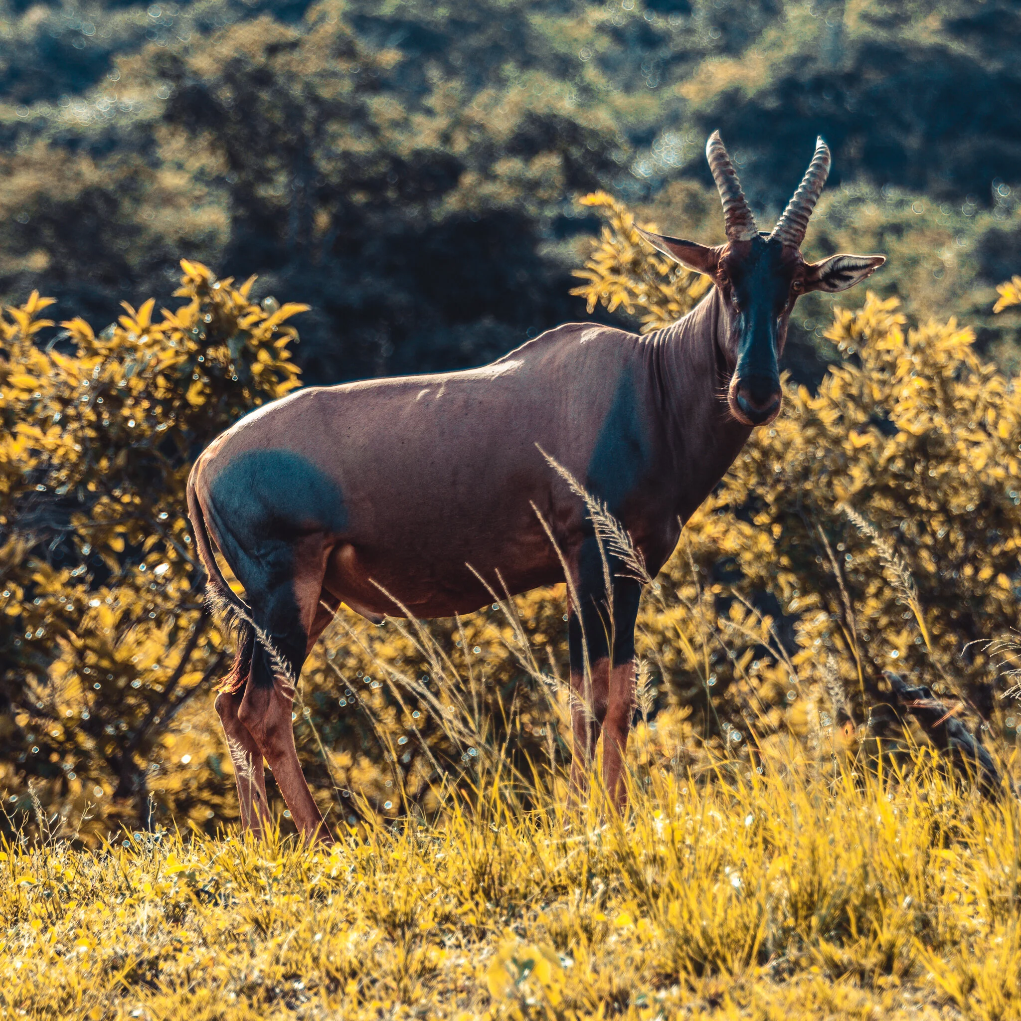 20191217-0L8A1989.jpg