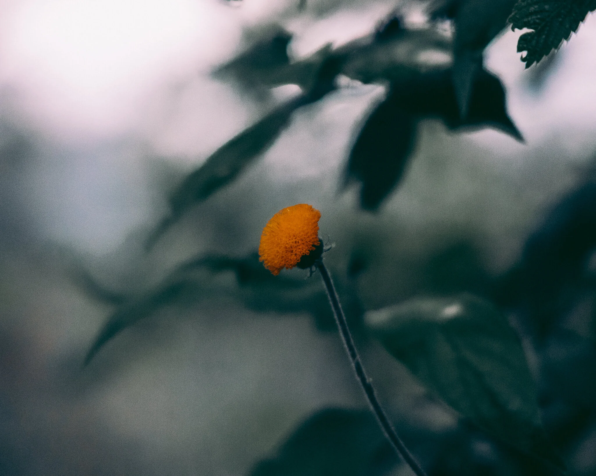 20191224-843A2676.jpg