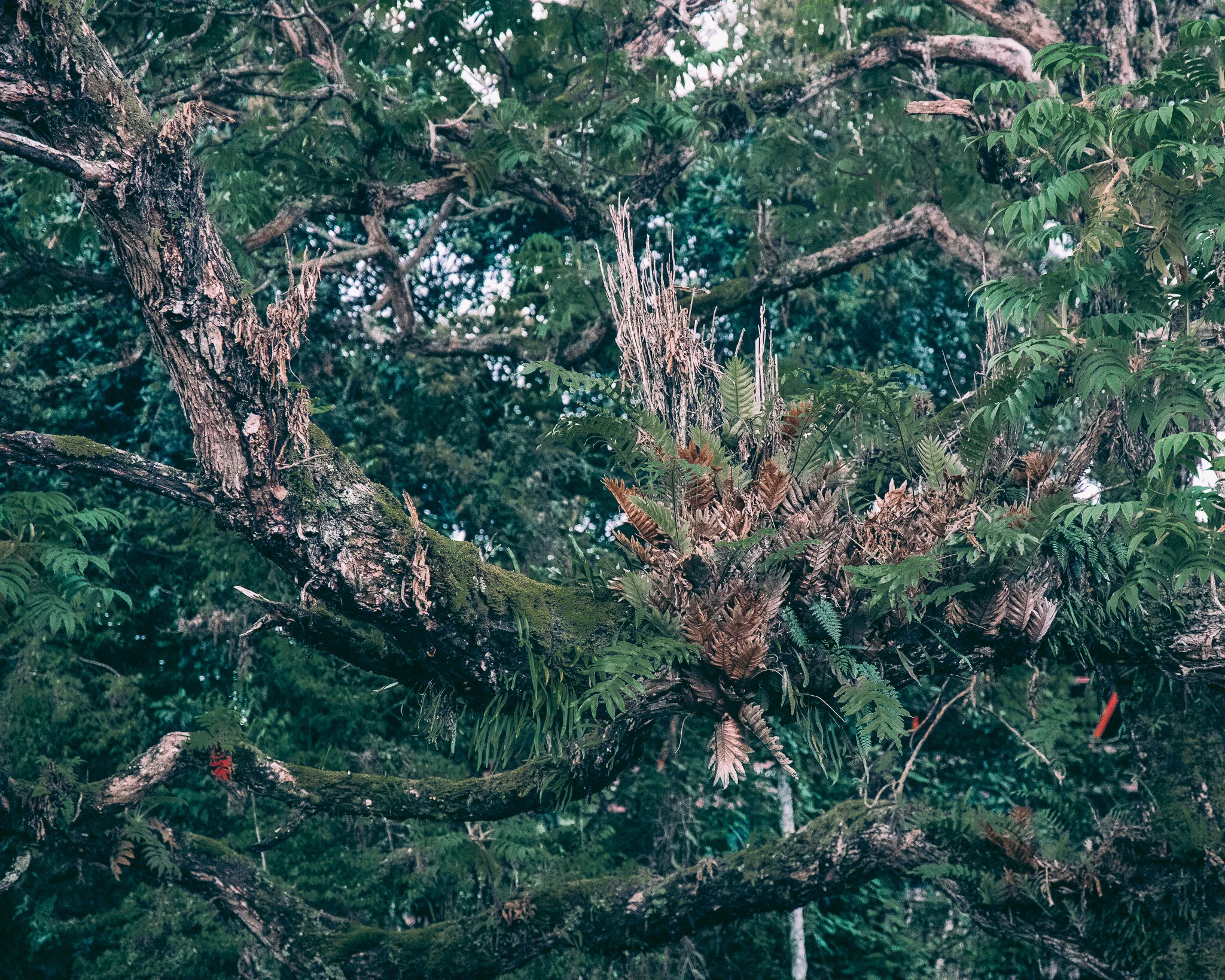 20191224-843A2685.jpg