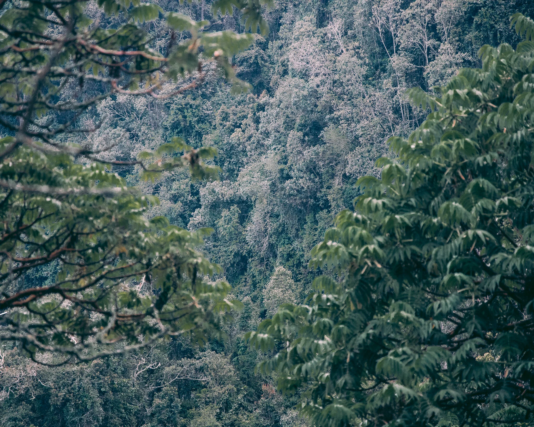 20191224-843A2703.jpg