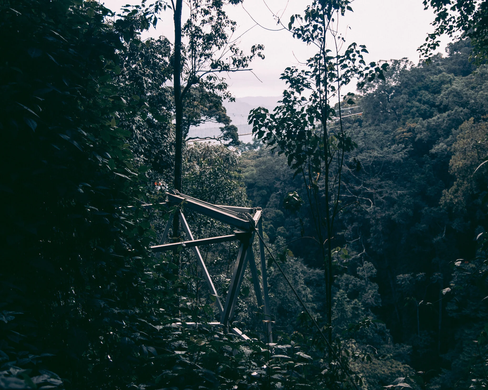 20191224-843A2800.jpg