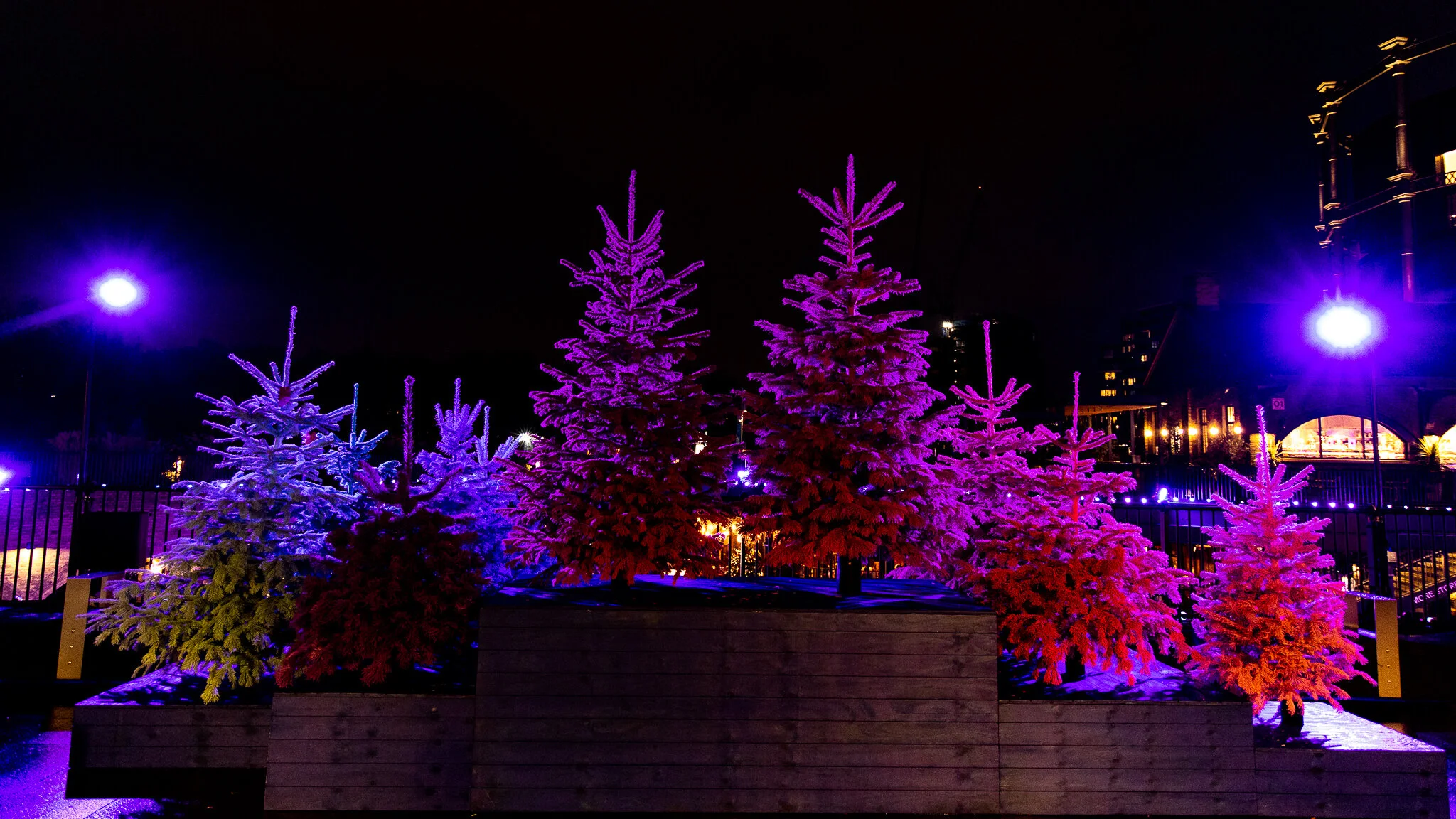 20191123-843A6744.jpg