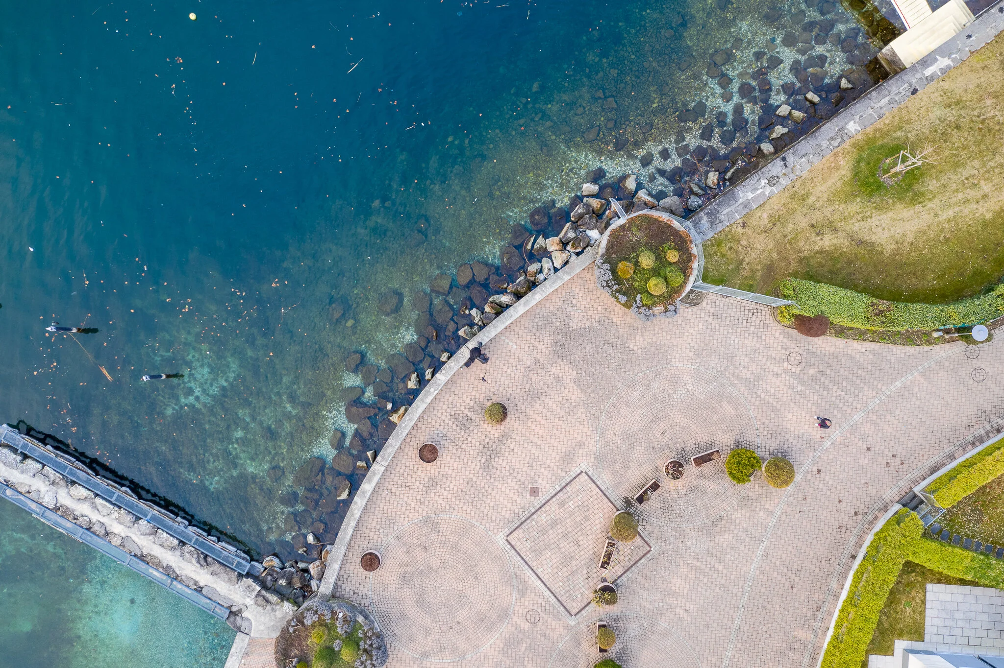20190302-DJI_0175-HDR.jpg