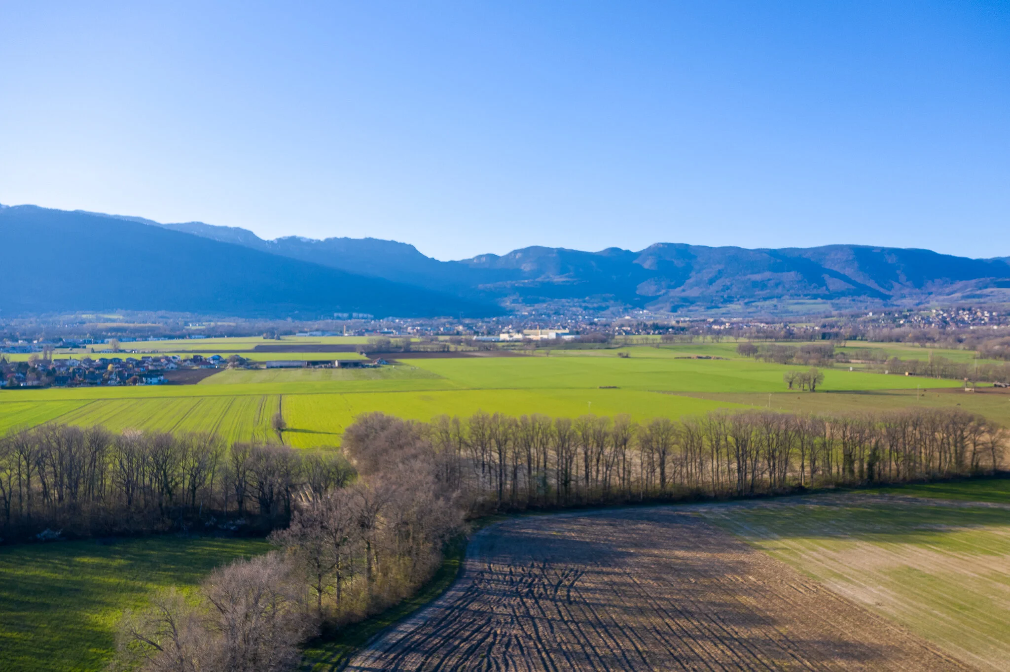 20200331-DJI_0514-HDR.jpg