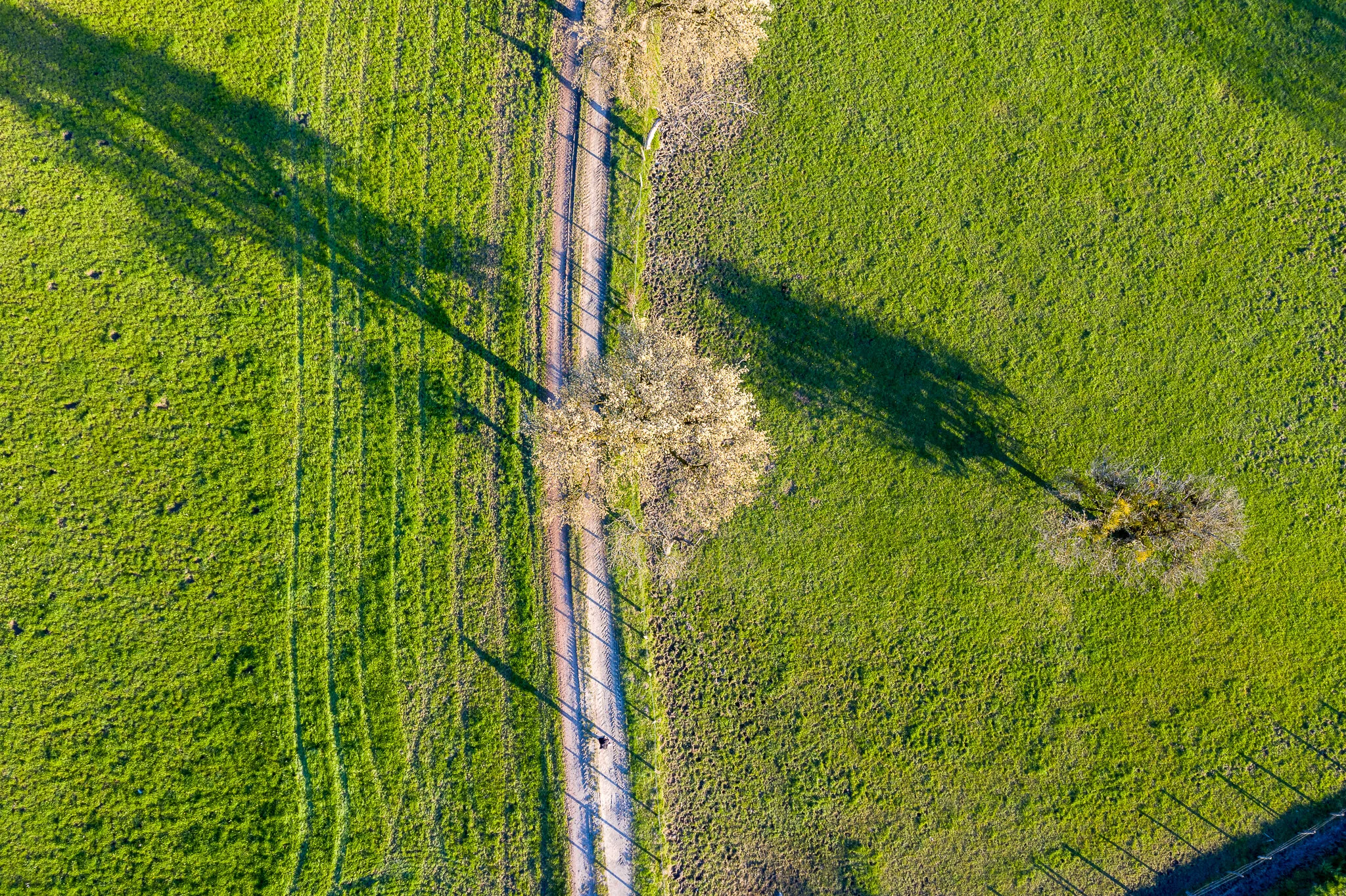 20200331-DJI_0552-HDR.jpg