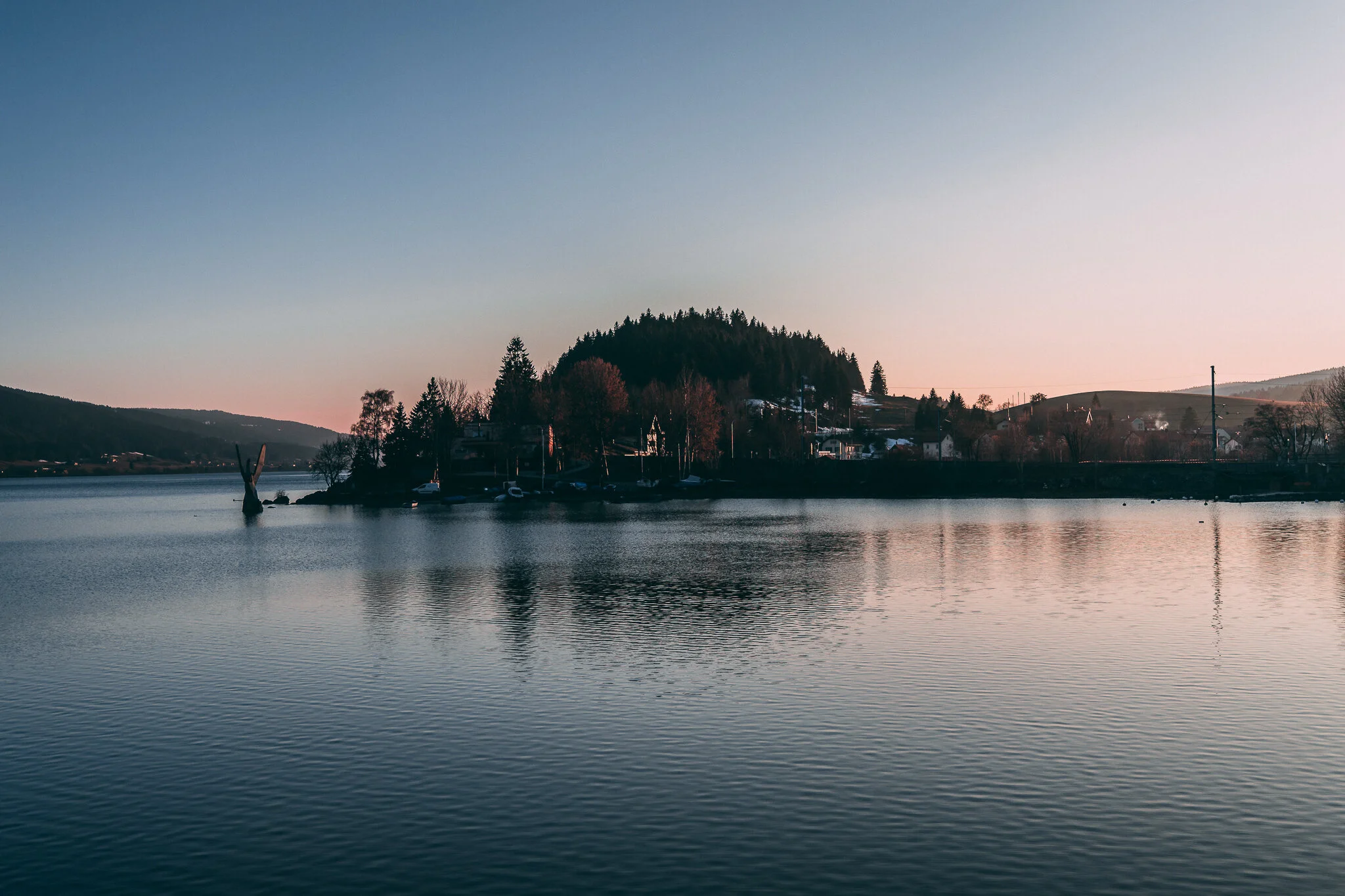 20190331-843A8878.jpg