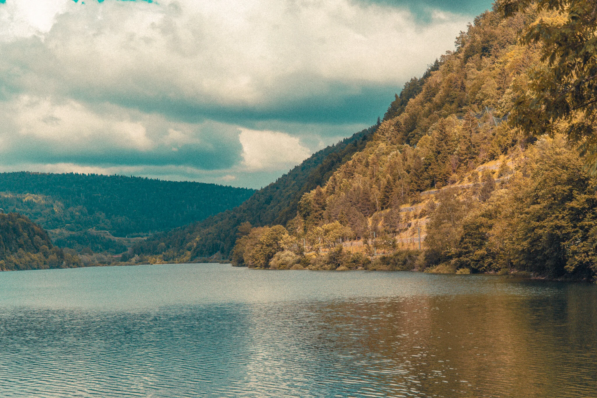 20190622-843A6619.jpg