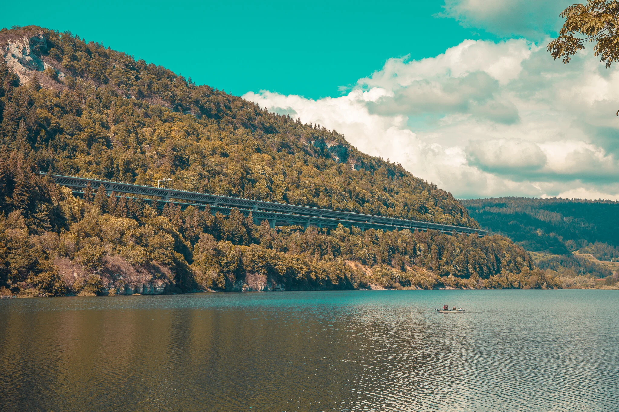 20190622-843A6649.jpg