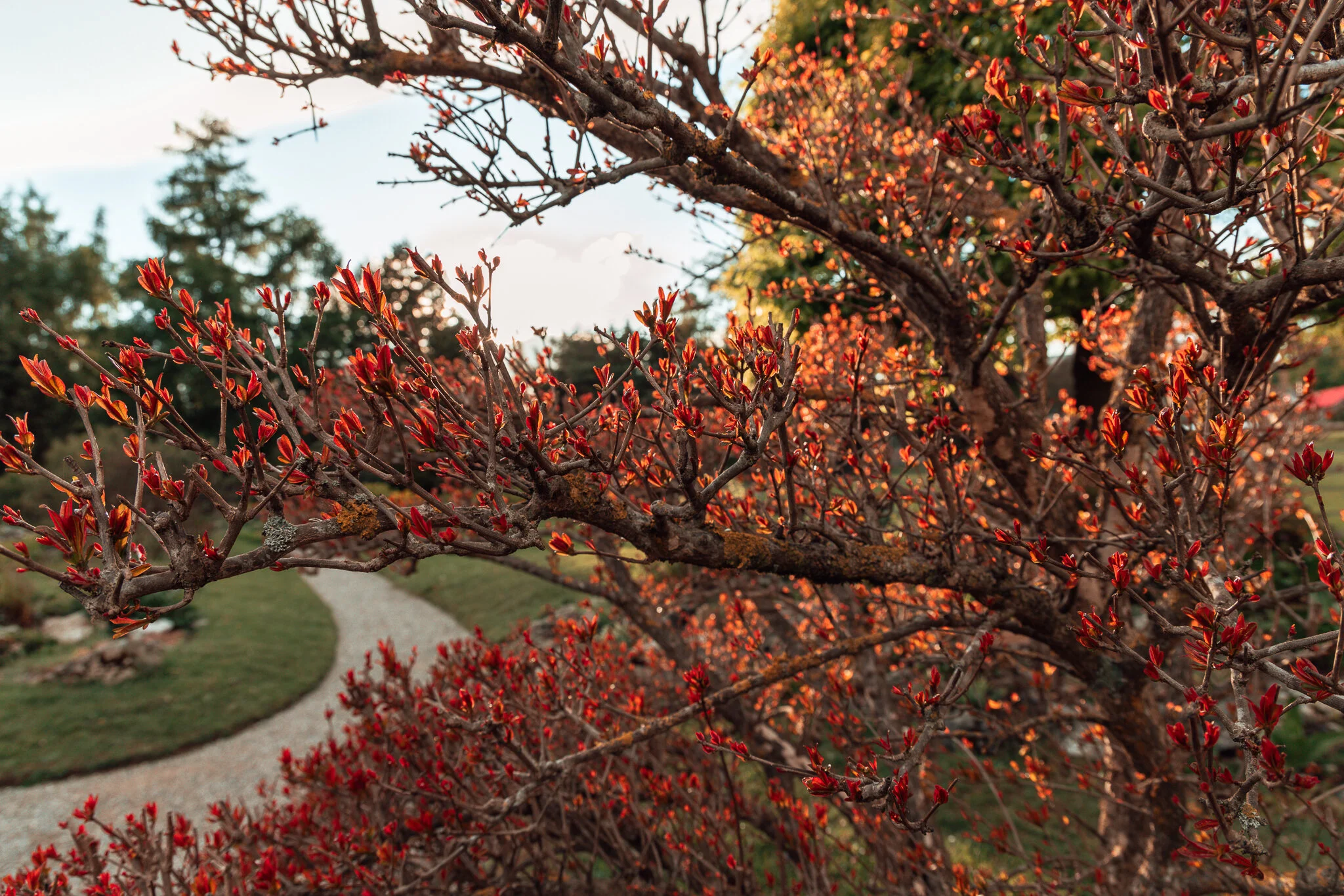 20190427-843A9289.jpg
