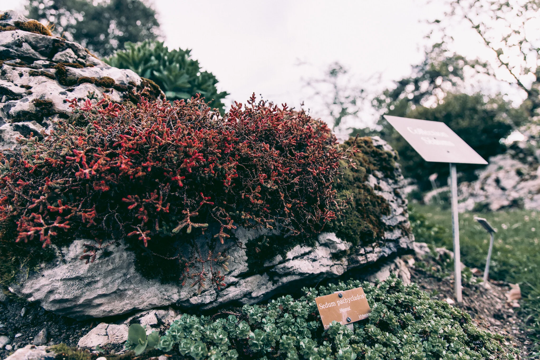 20190427-843A9290.jpg