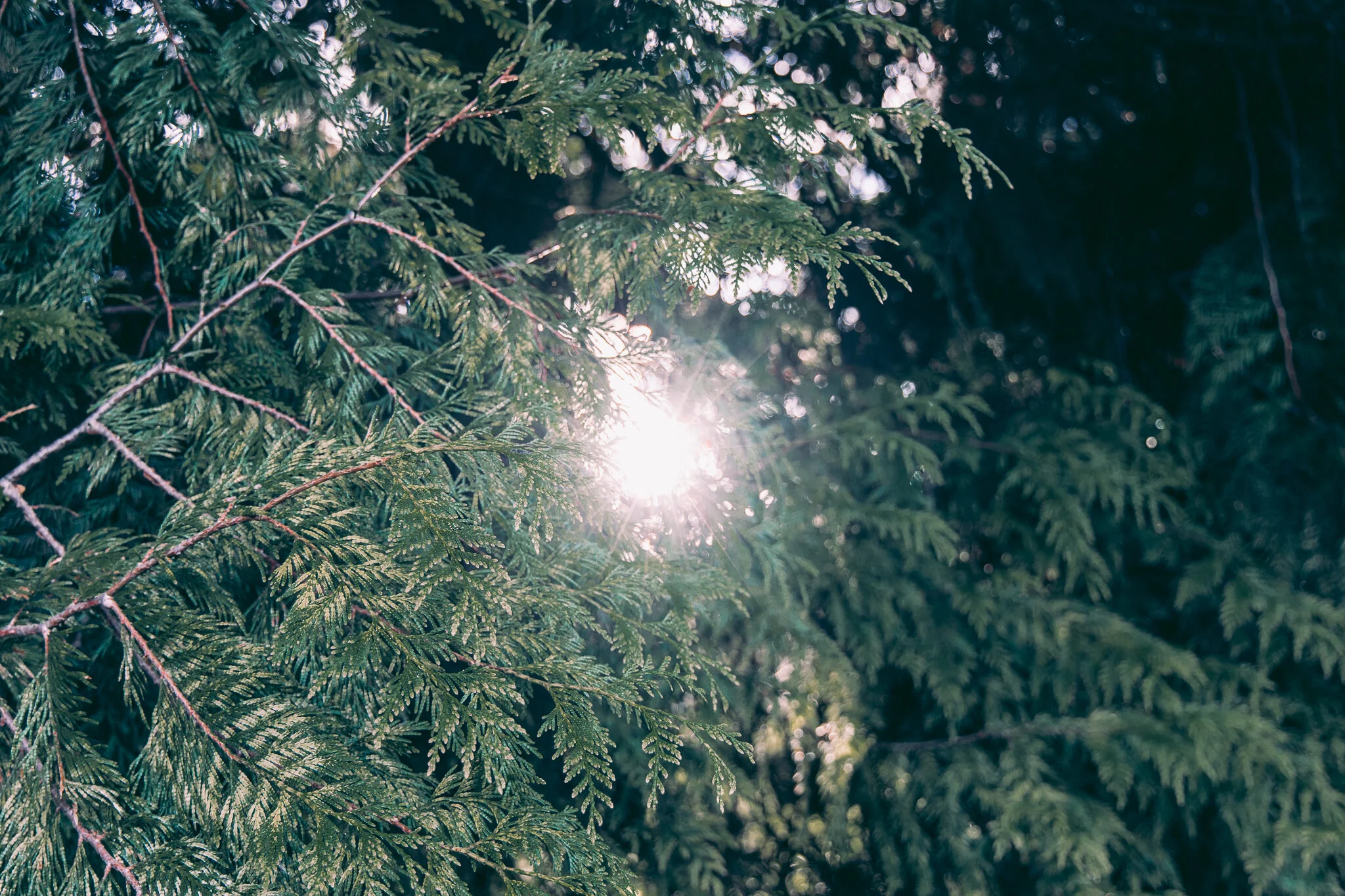 20190427-843A9314.jpg