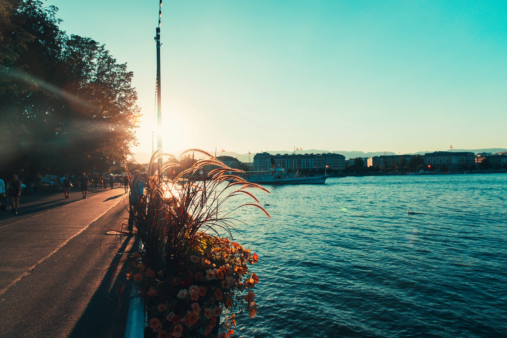 20190719-843A8384.jpg