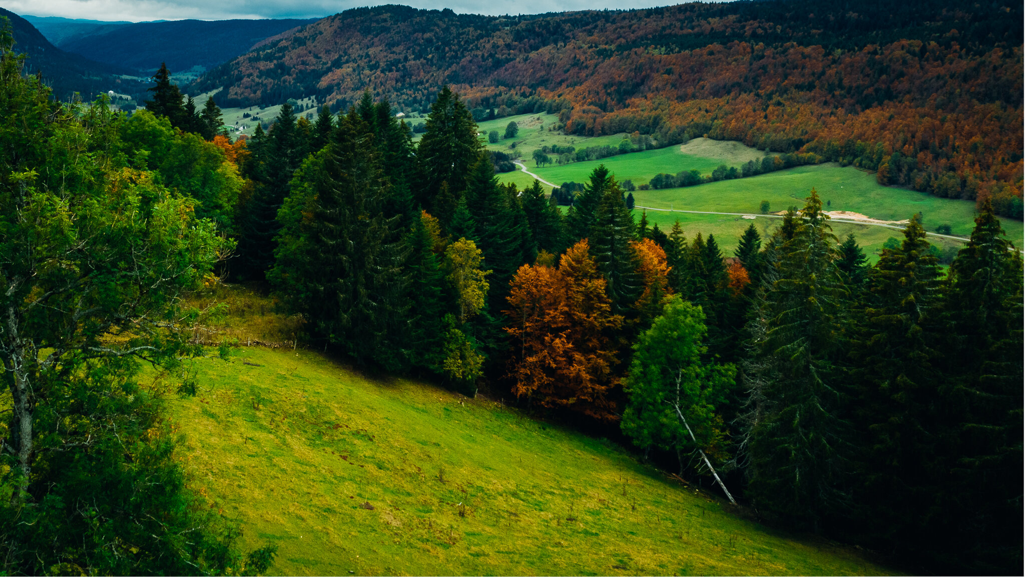 DJI_0826-HDR.jpg