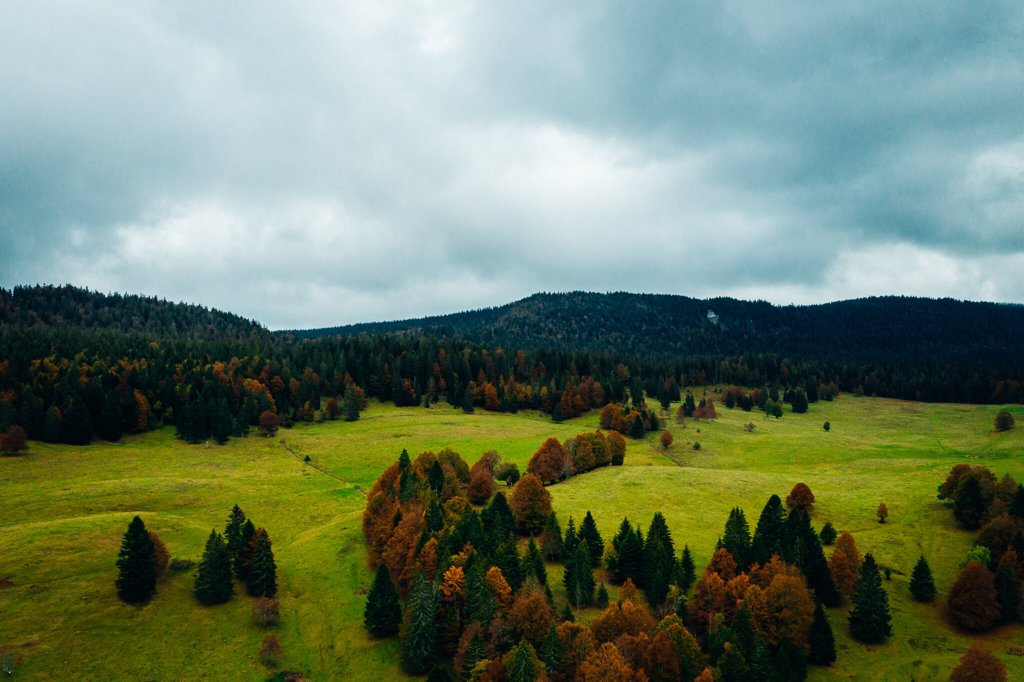 DJI_0759-HDR.jpg