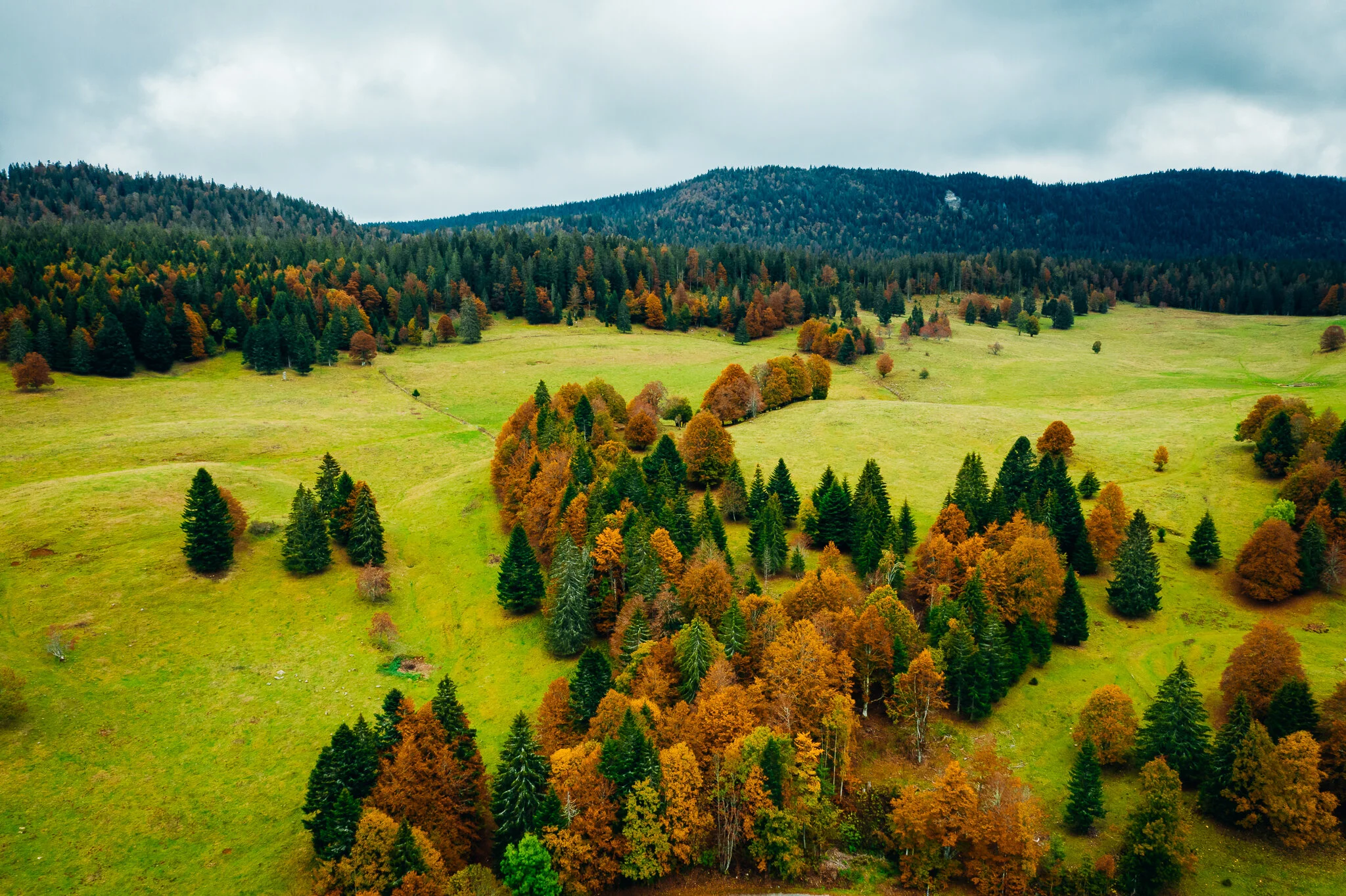 DJI_0764-HDR.jpg