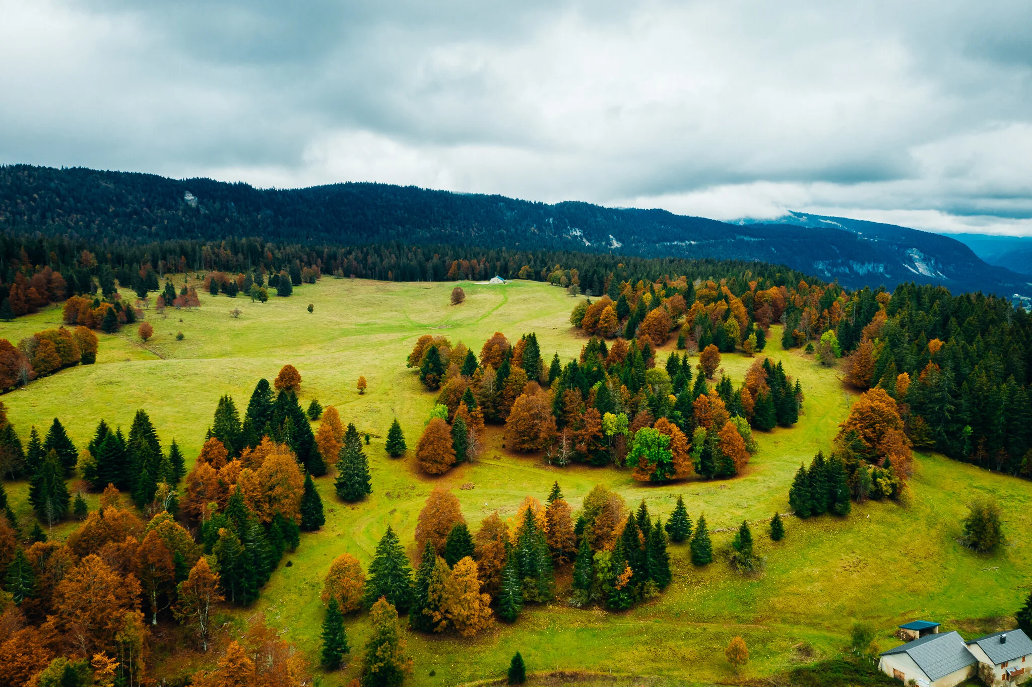 DJI_0769-HDR.jpg