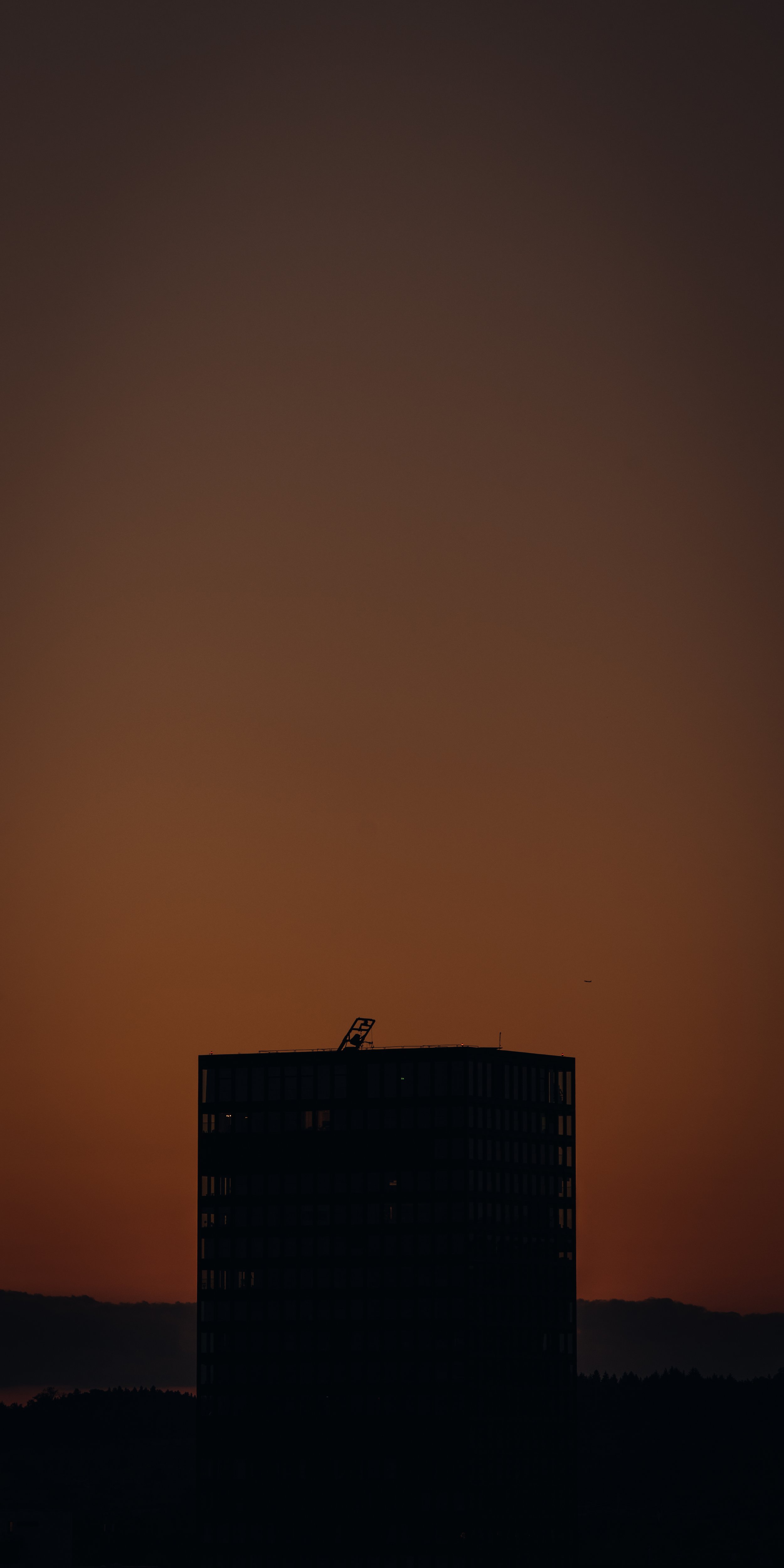 843A4206.jpg