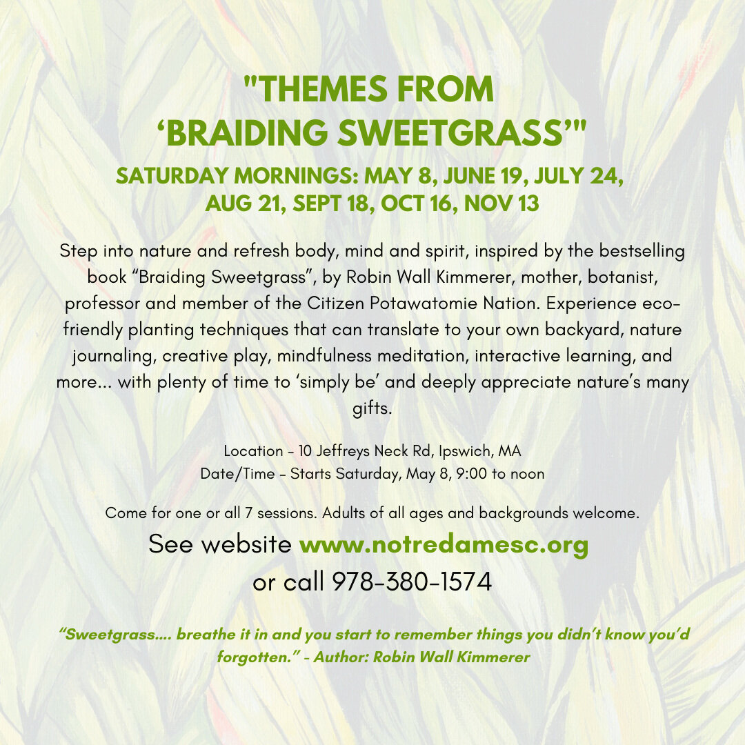 Simple Ways to Identify Sweetgrass: 10 Steps (with Pictures)